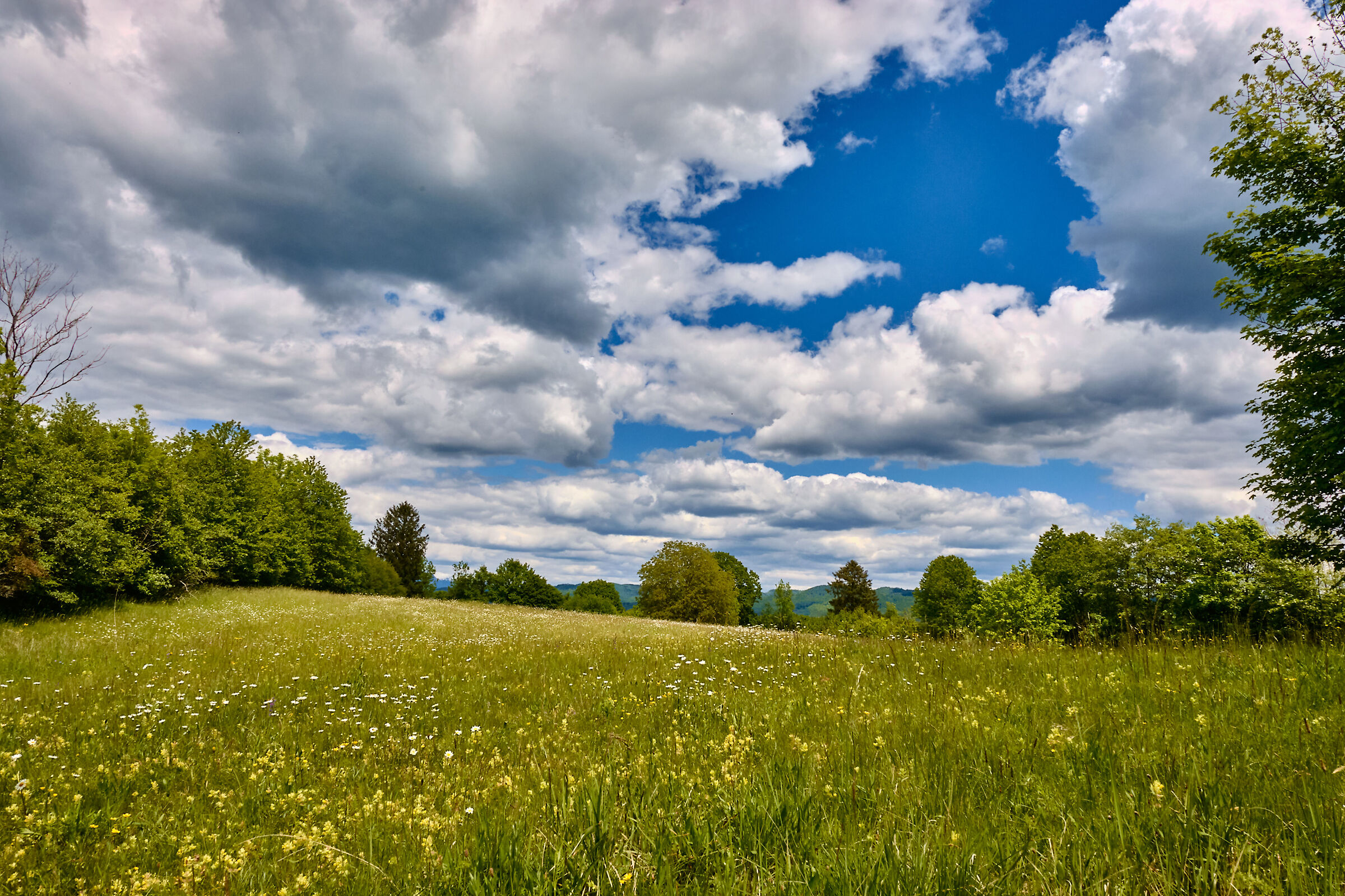 Altopiano Banjsice cielo mosso