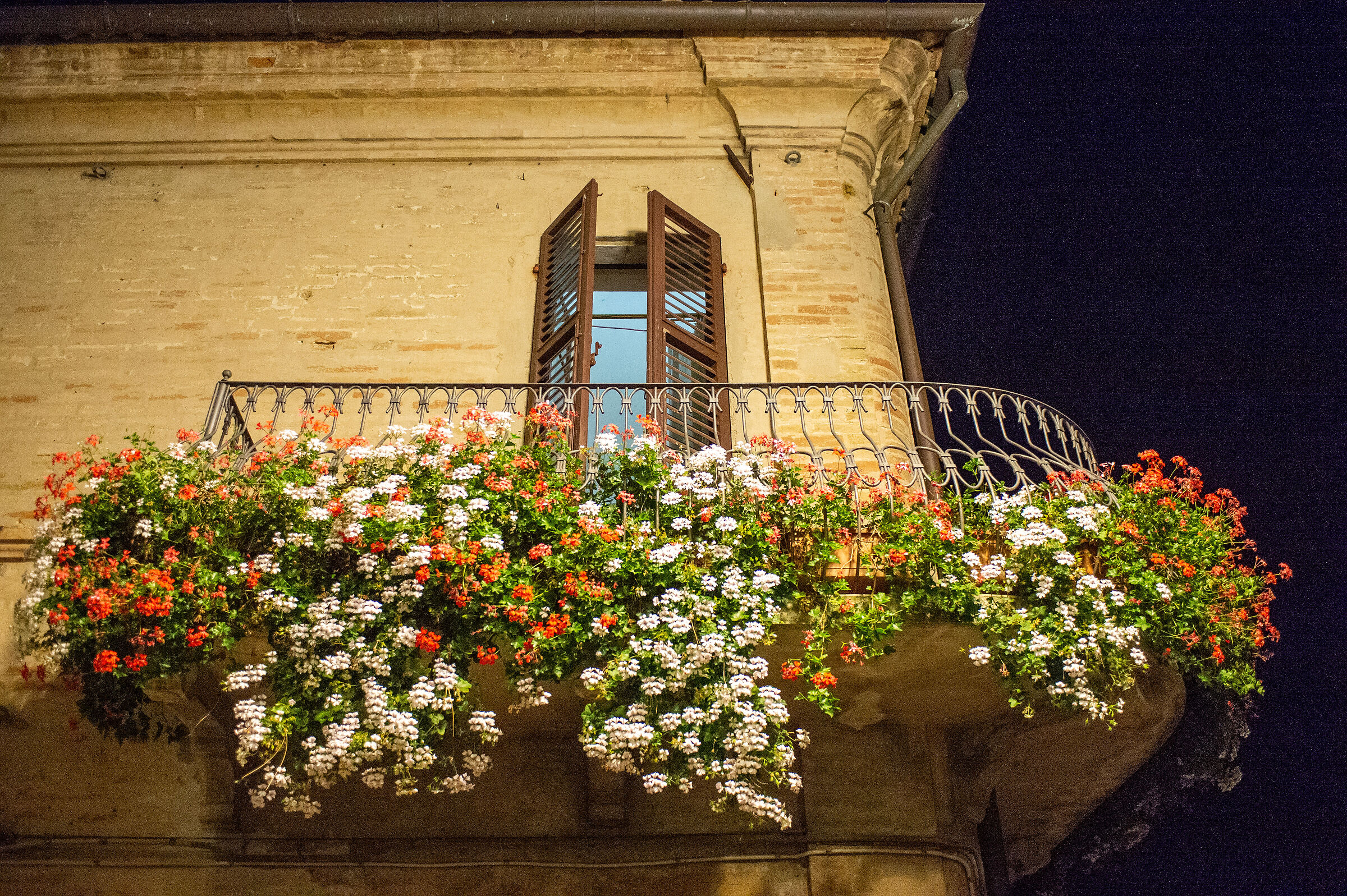 Osimo in fiore