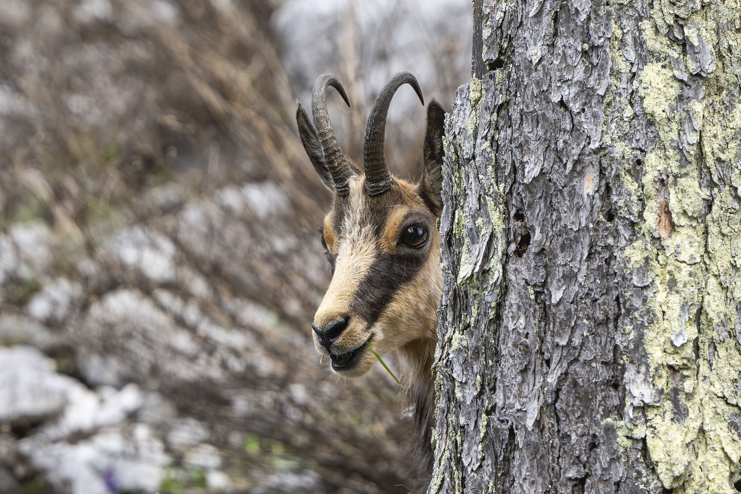 I see you