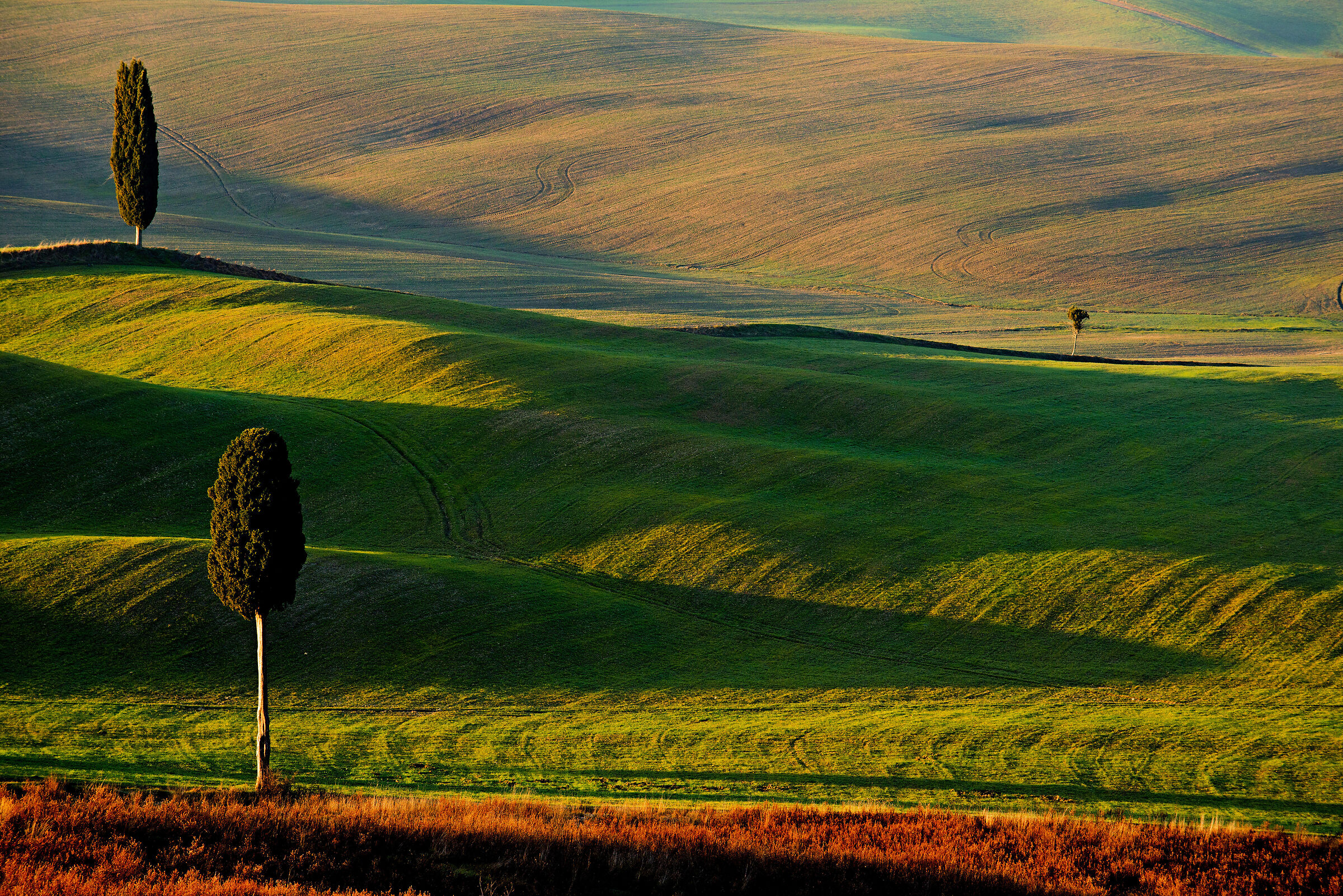 the first light.