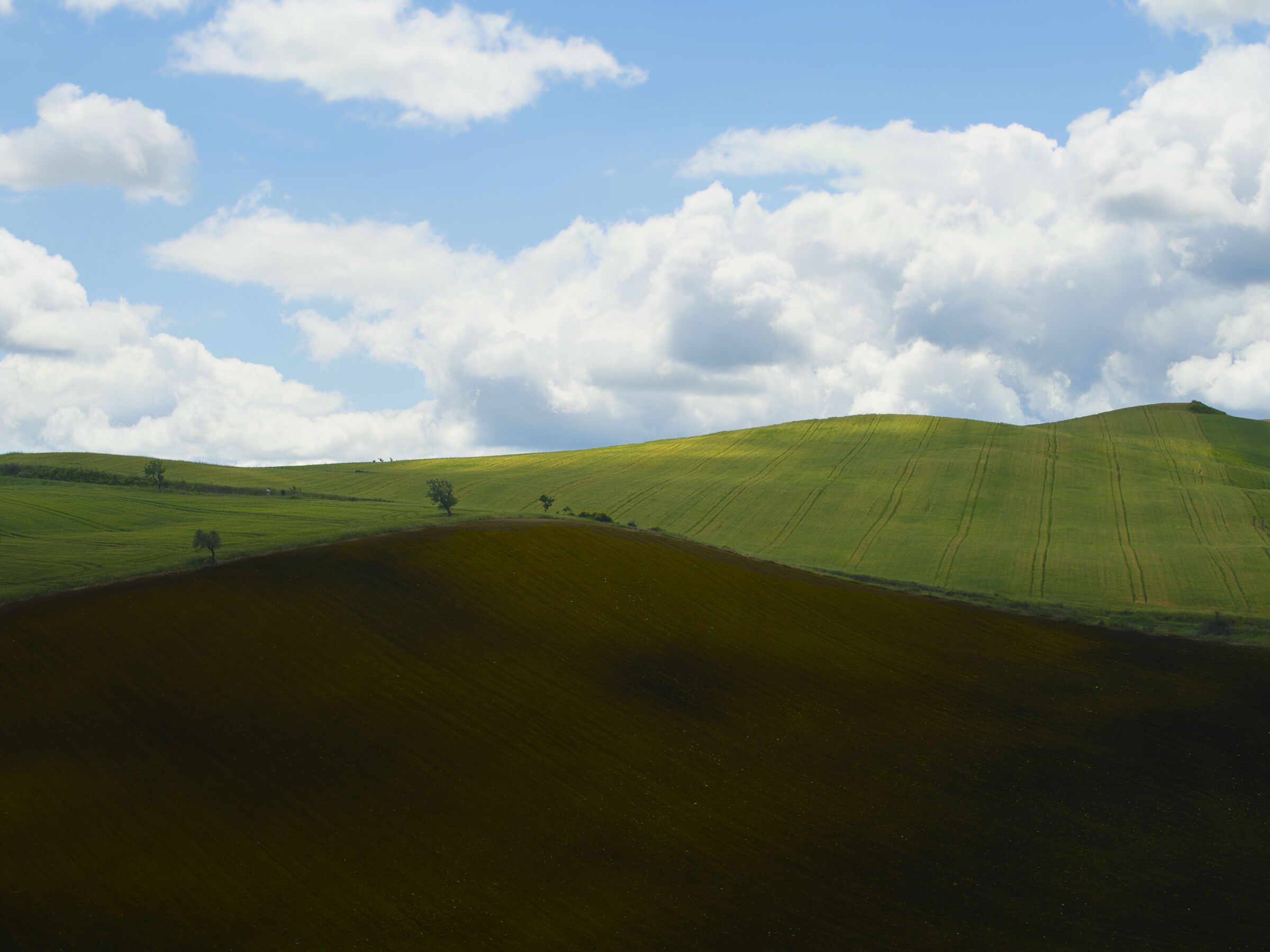 Campagna dei Monti Dauni