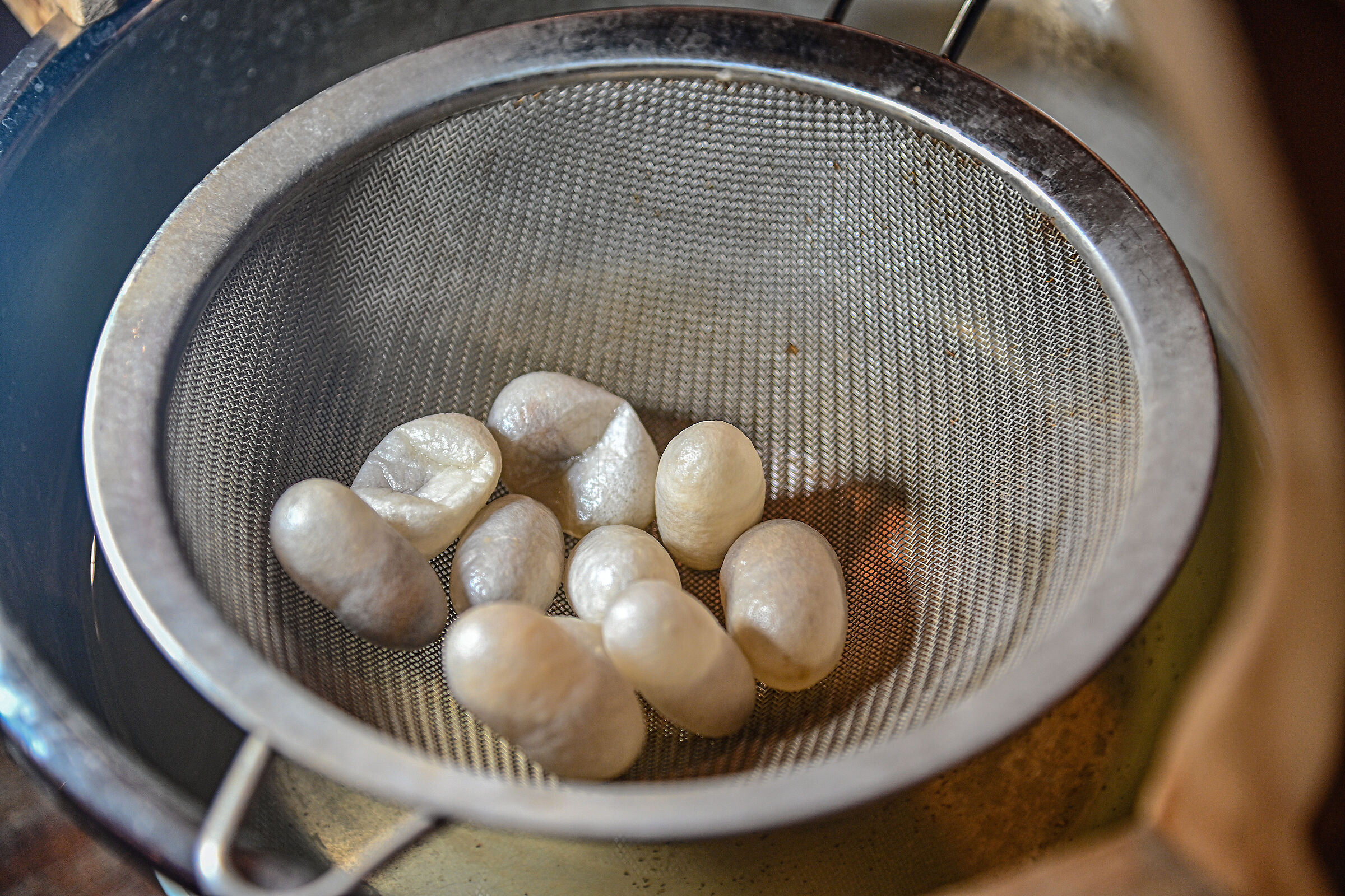 Silkworm