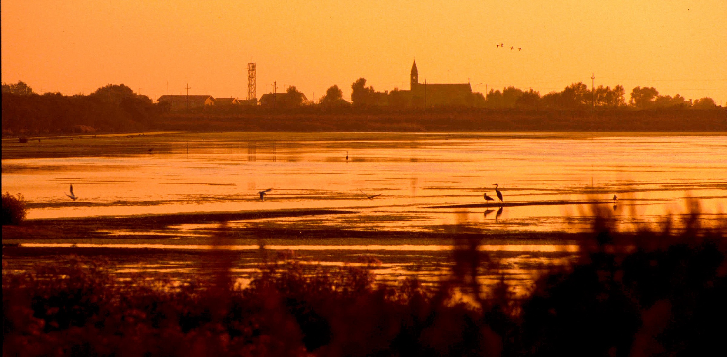 Tramonto a Boccasette - Delta del Po - 1997
