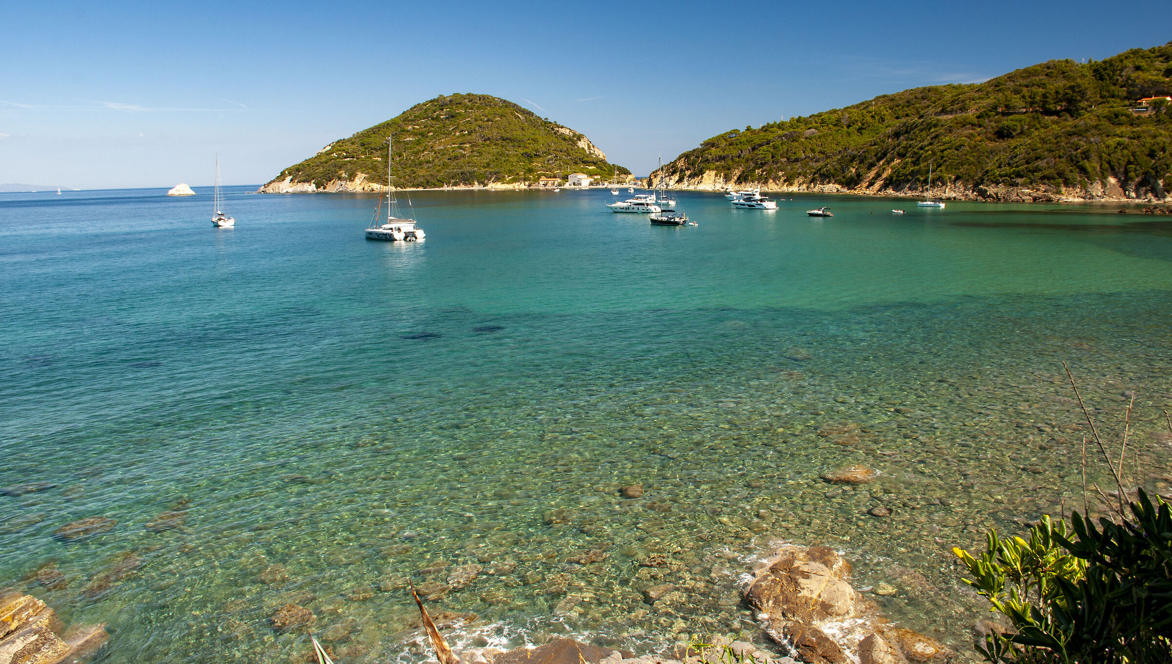Elba (Viticcio-Enfola)