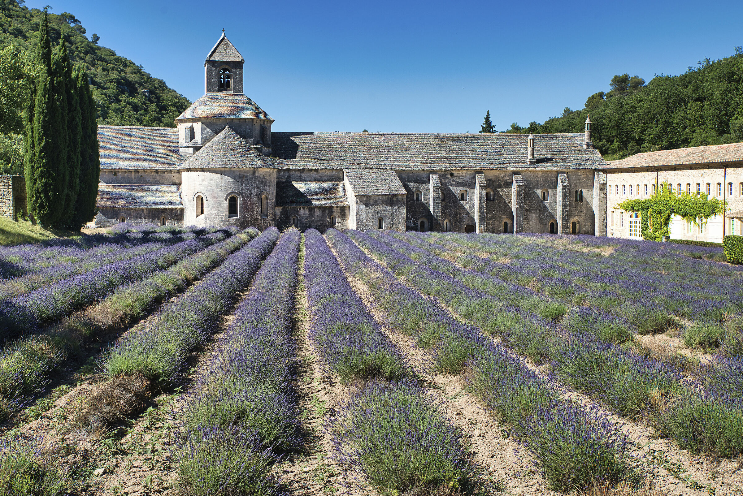 Abbazia Senanque