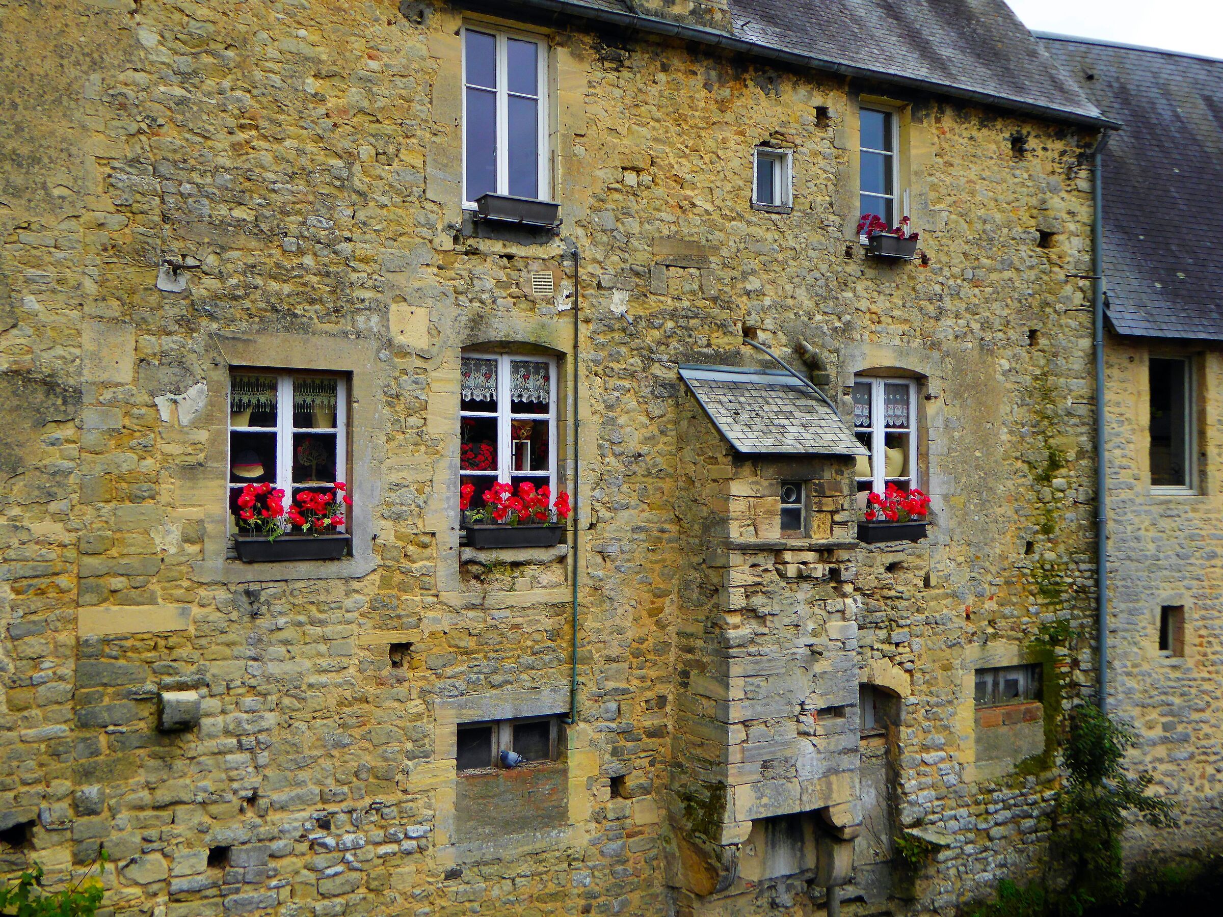 Fiori,Bayeux (Francia)