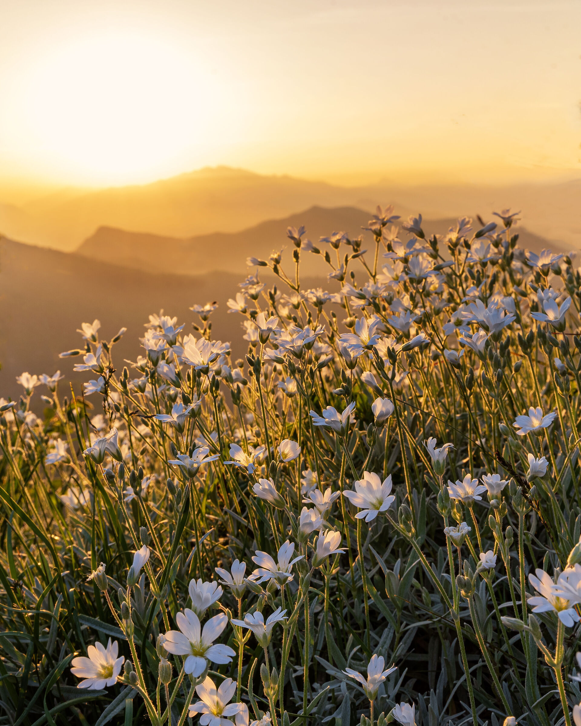 La magia della luce del mattino