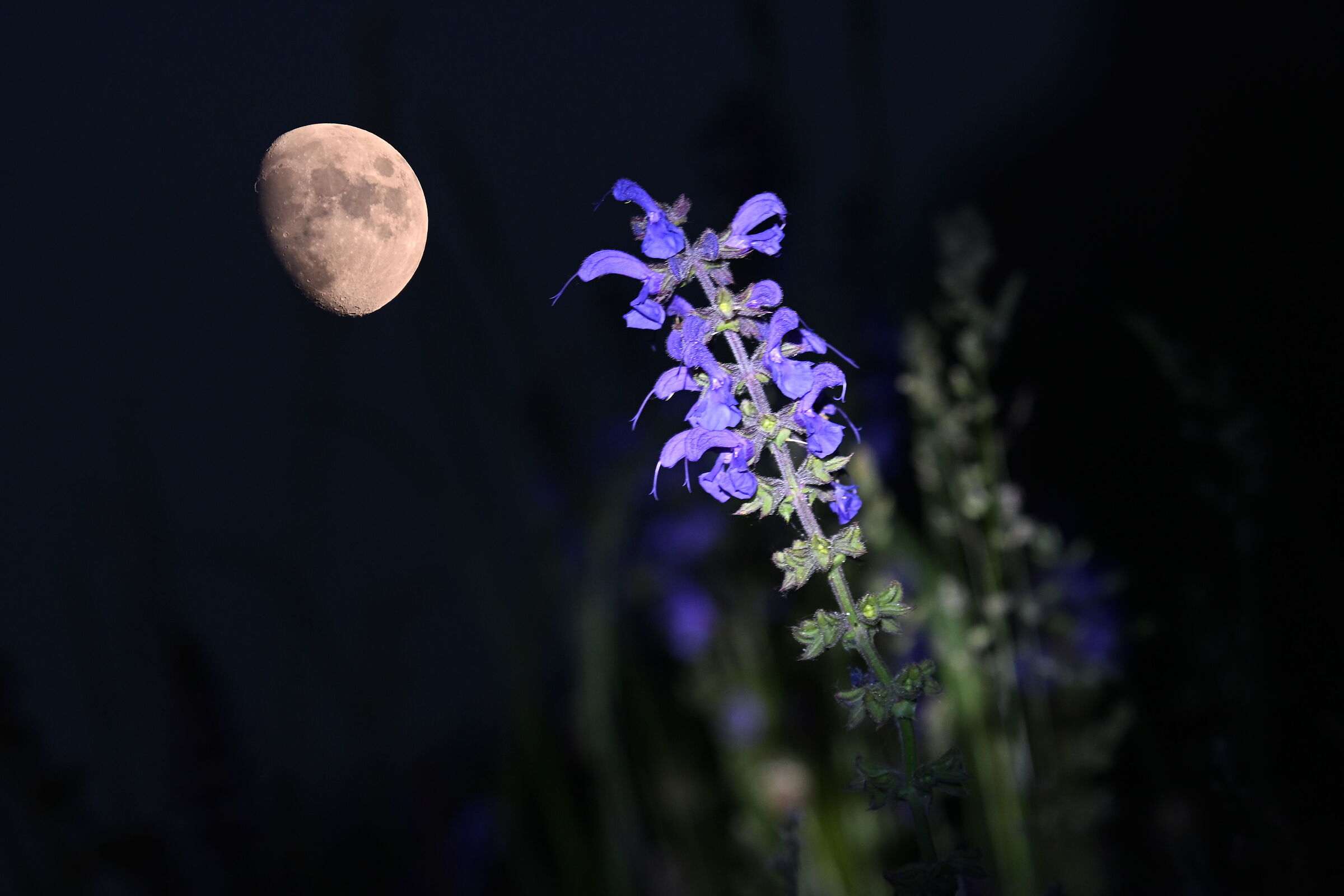 La notte