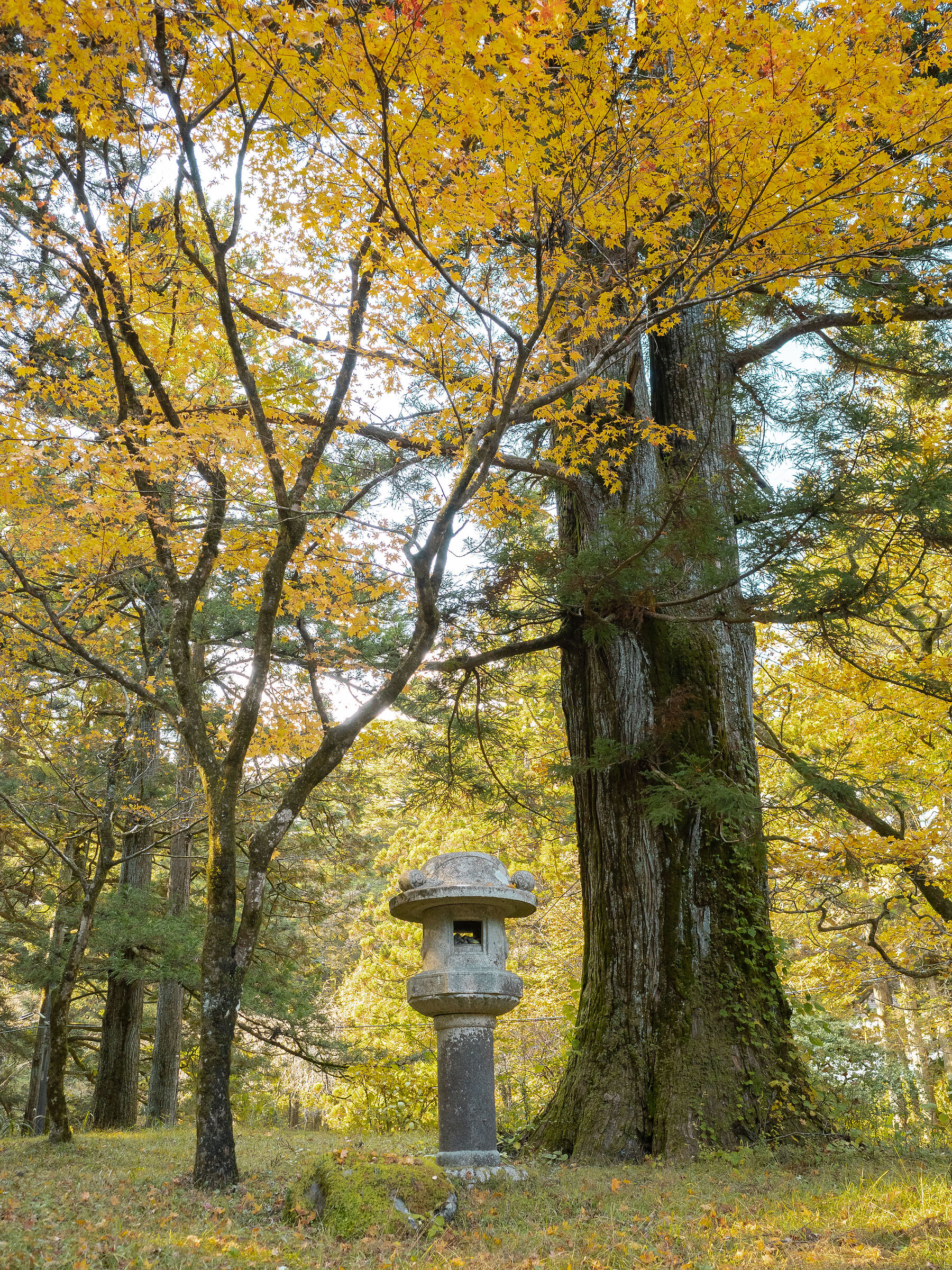 Toshogu Shrine - Nikko
