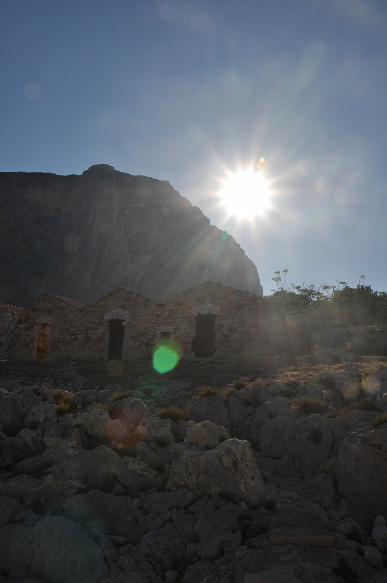 The tuna abbandoonata