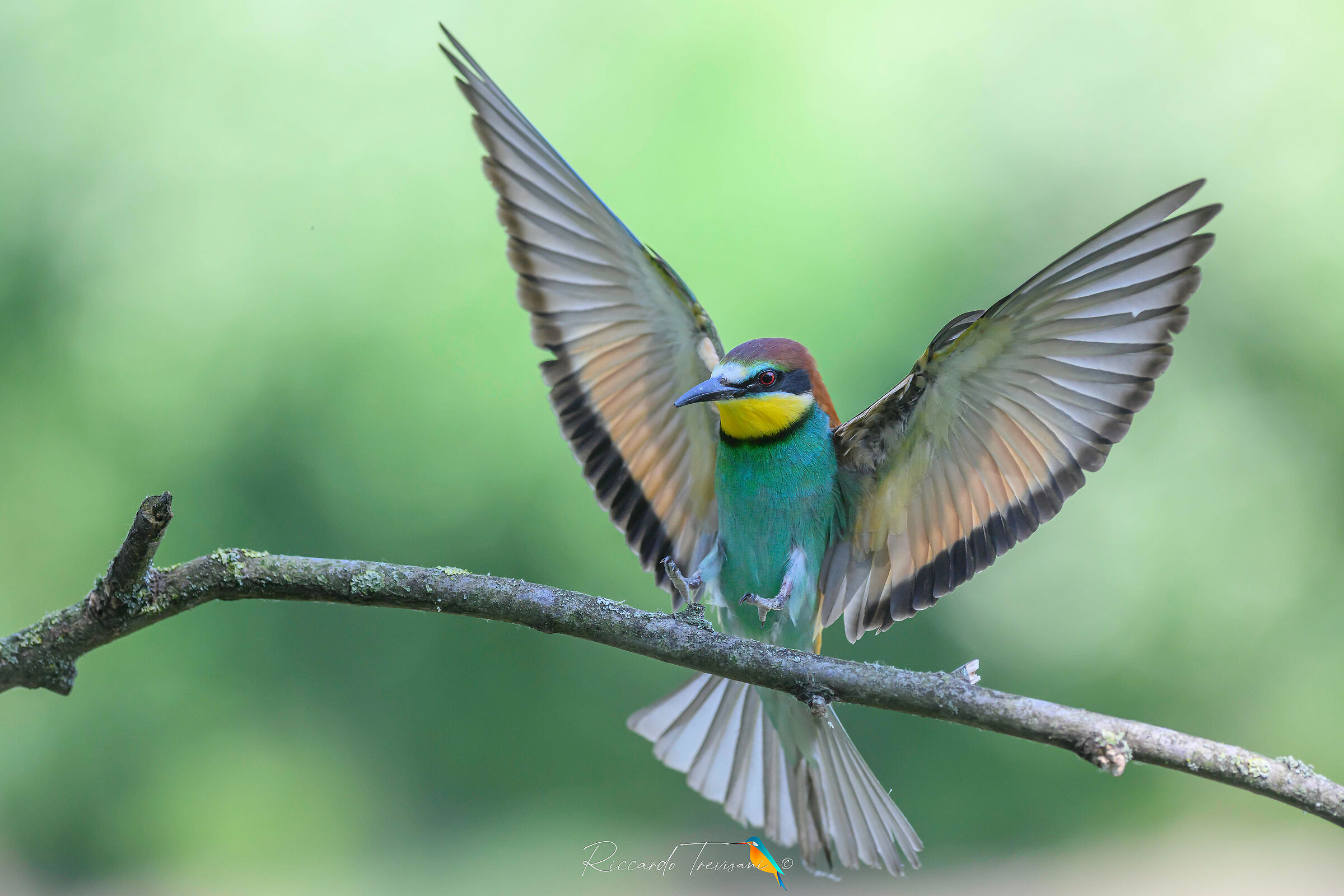 landing