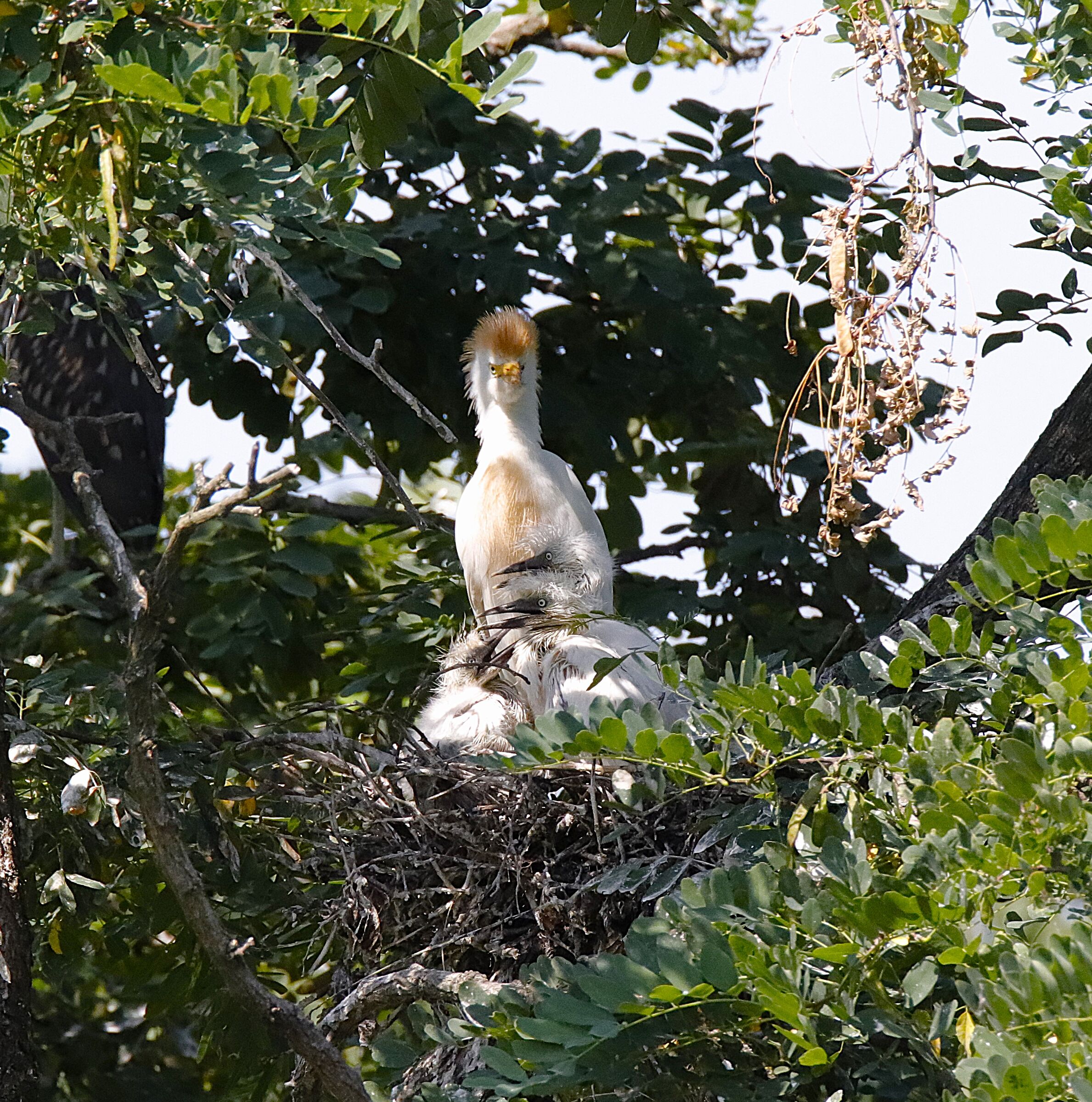 Cheerful little family