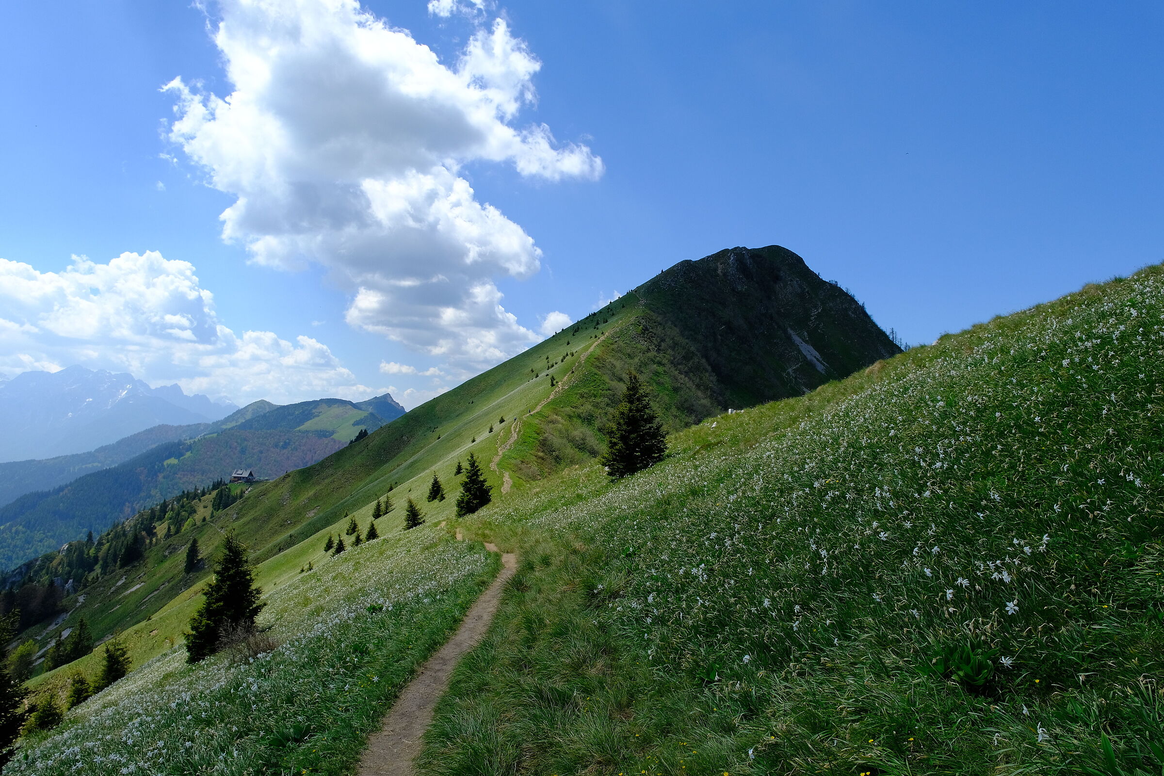 Untitled Photo
