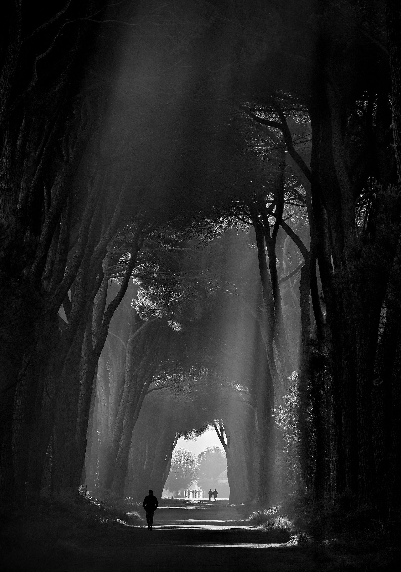 Light Filtering