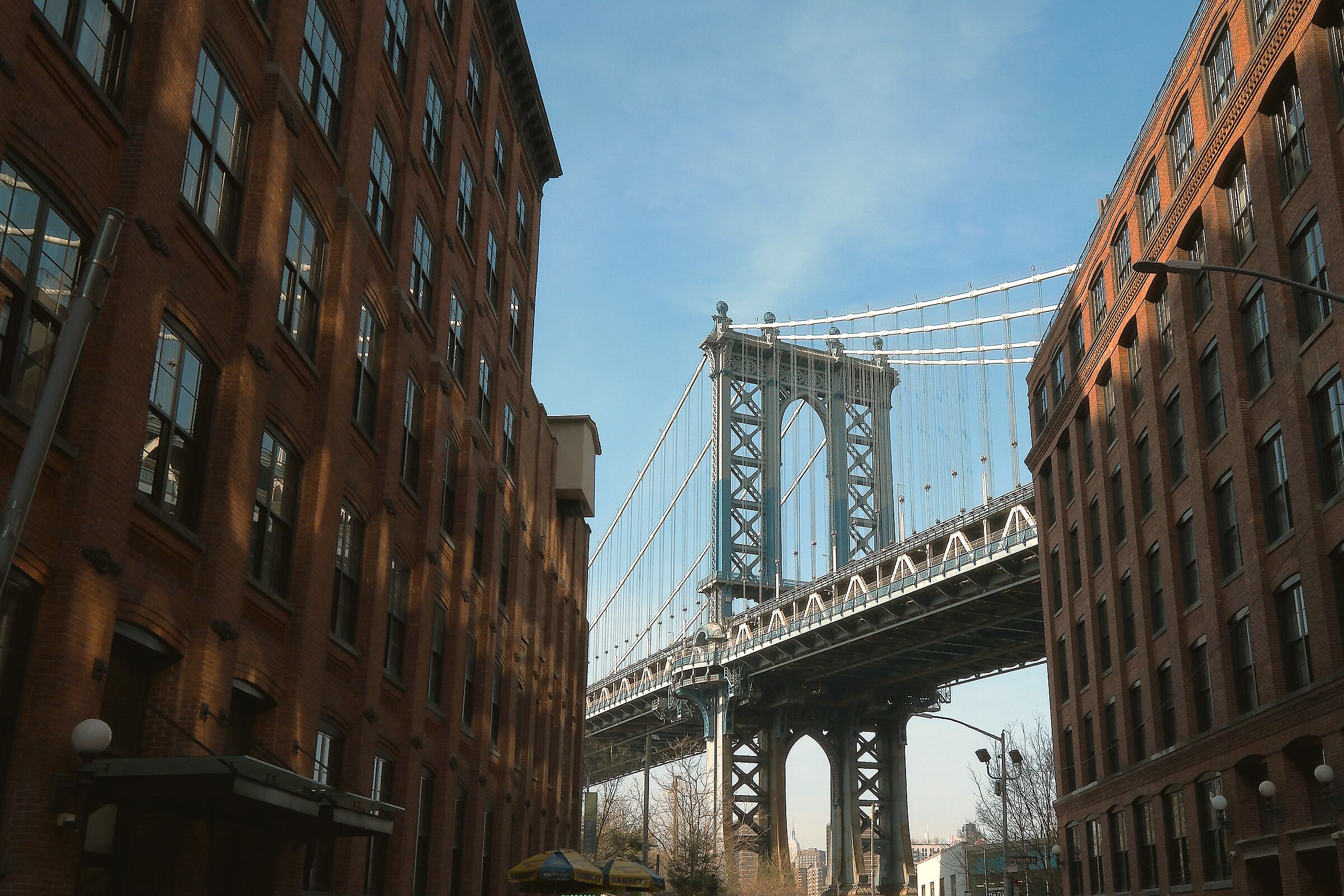 Dumbo