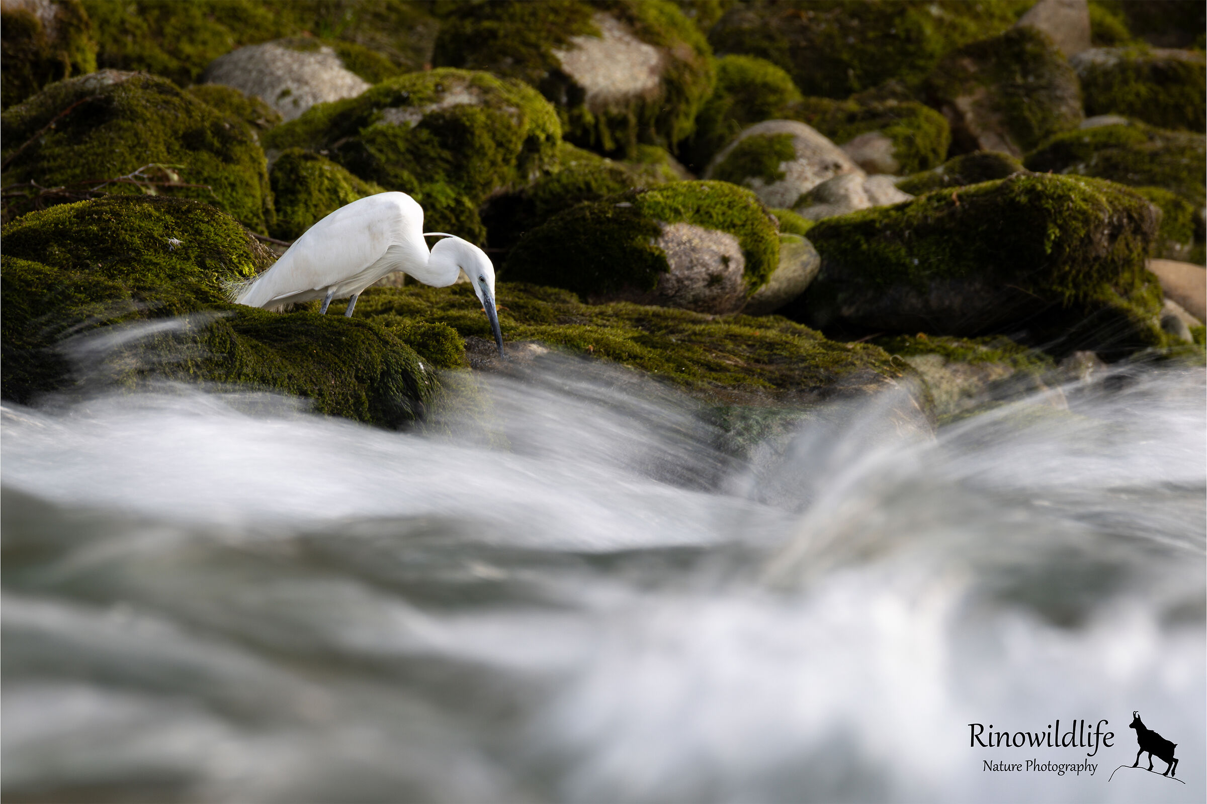 As everything flows