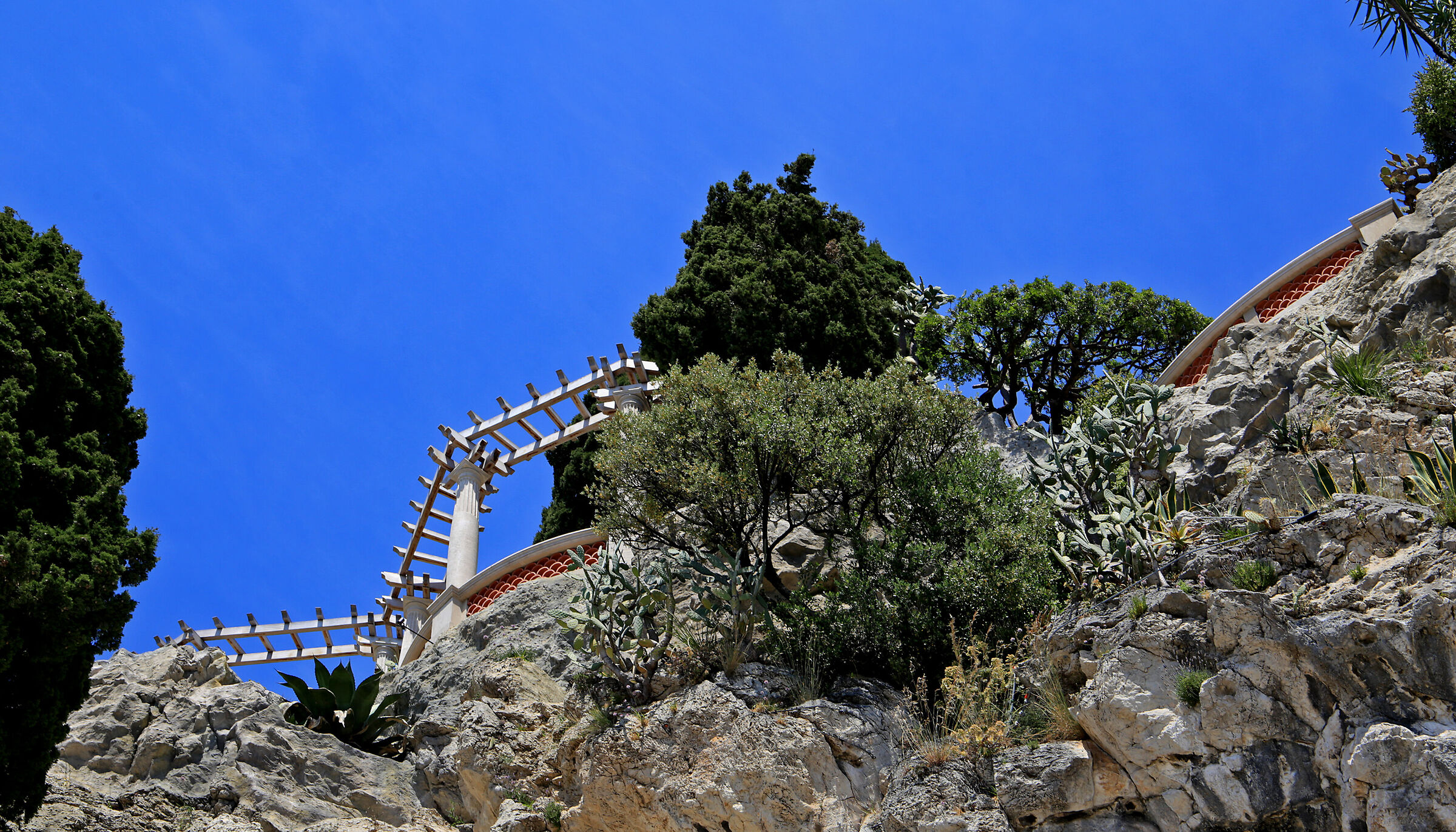 giardino verticale