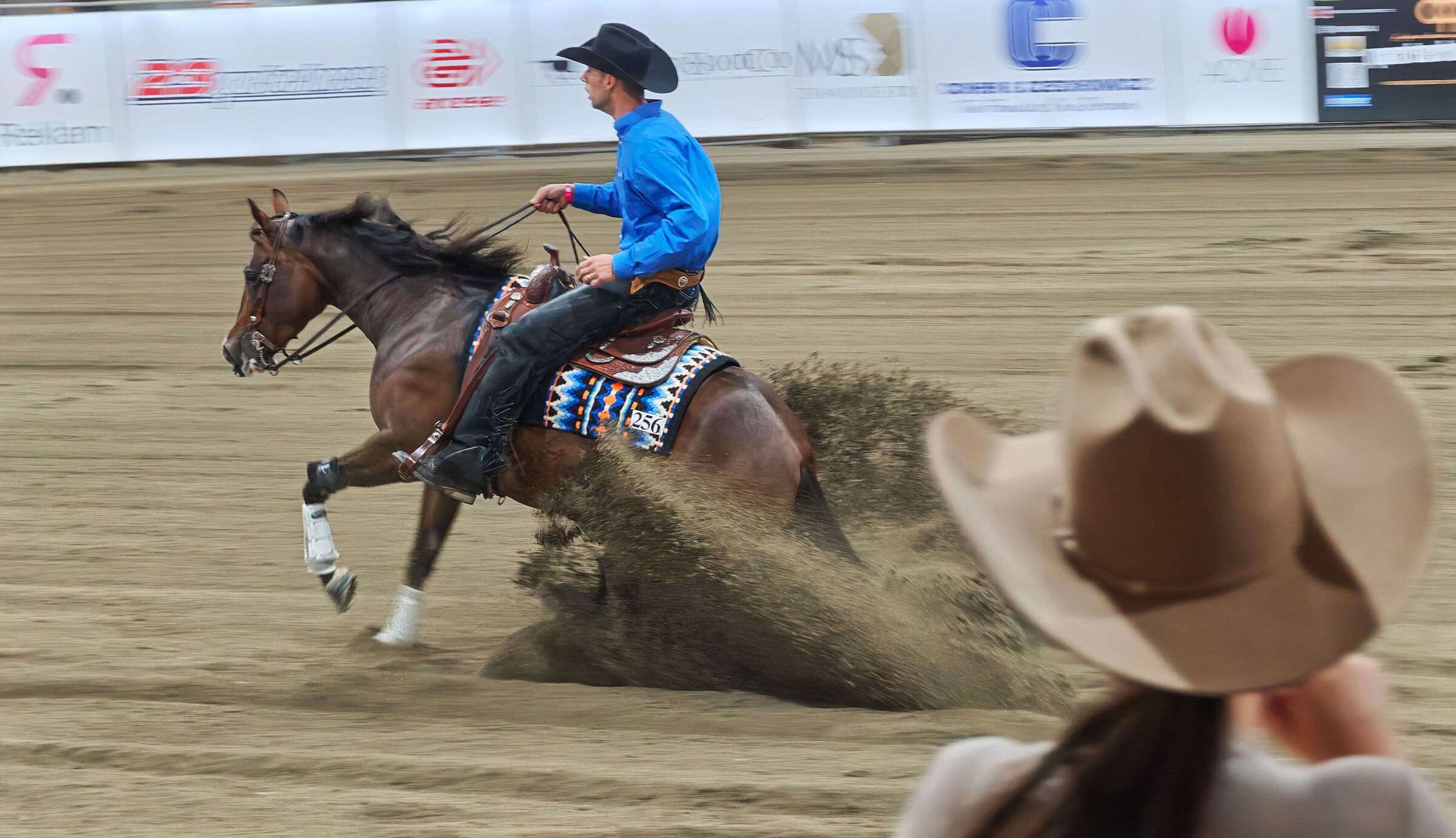 Reining