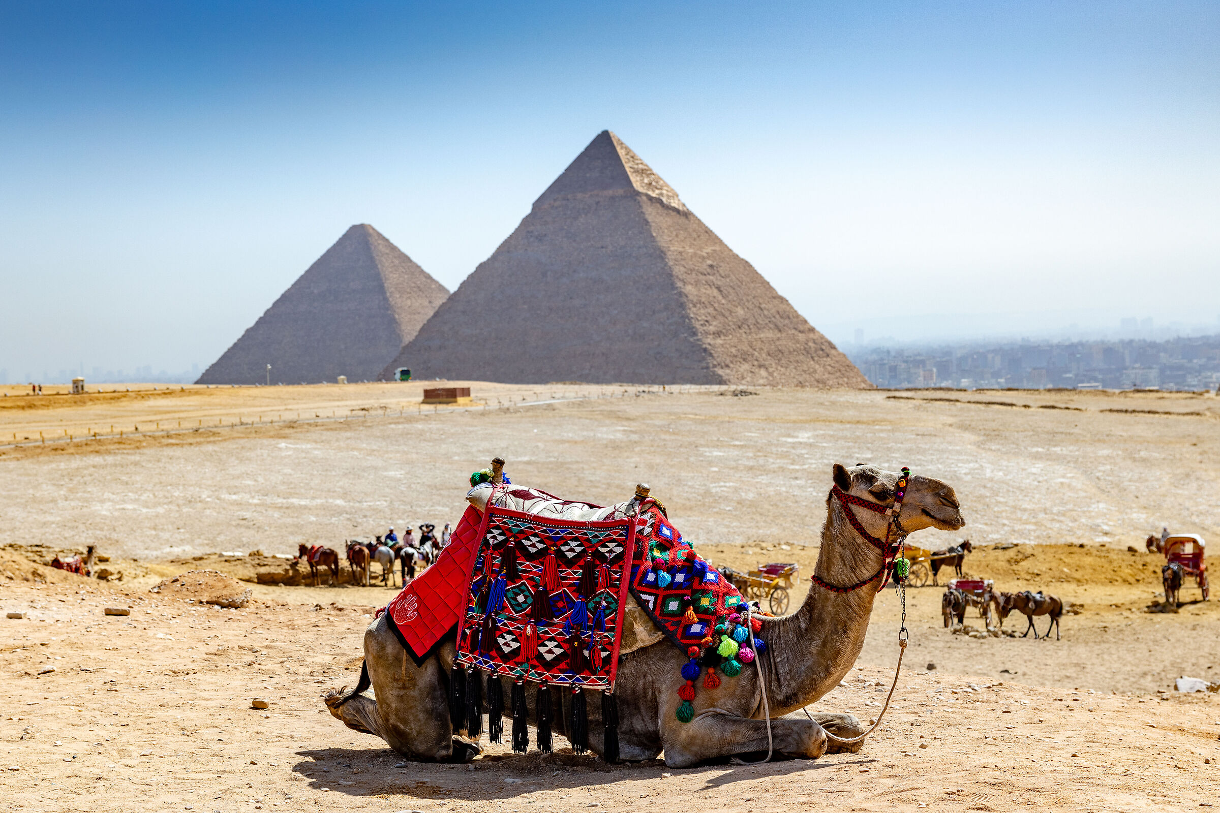 The pyramids