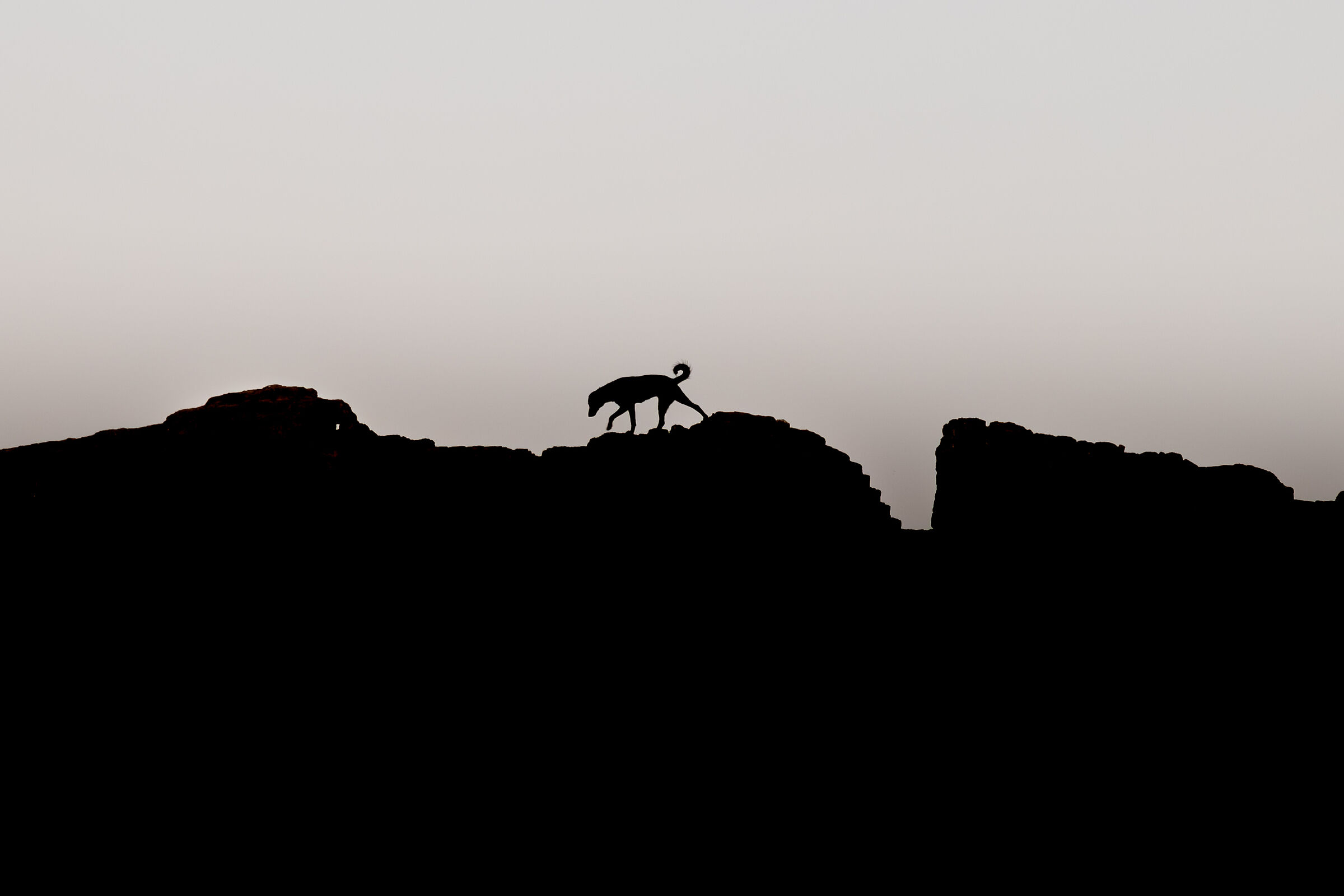 Silhouette