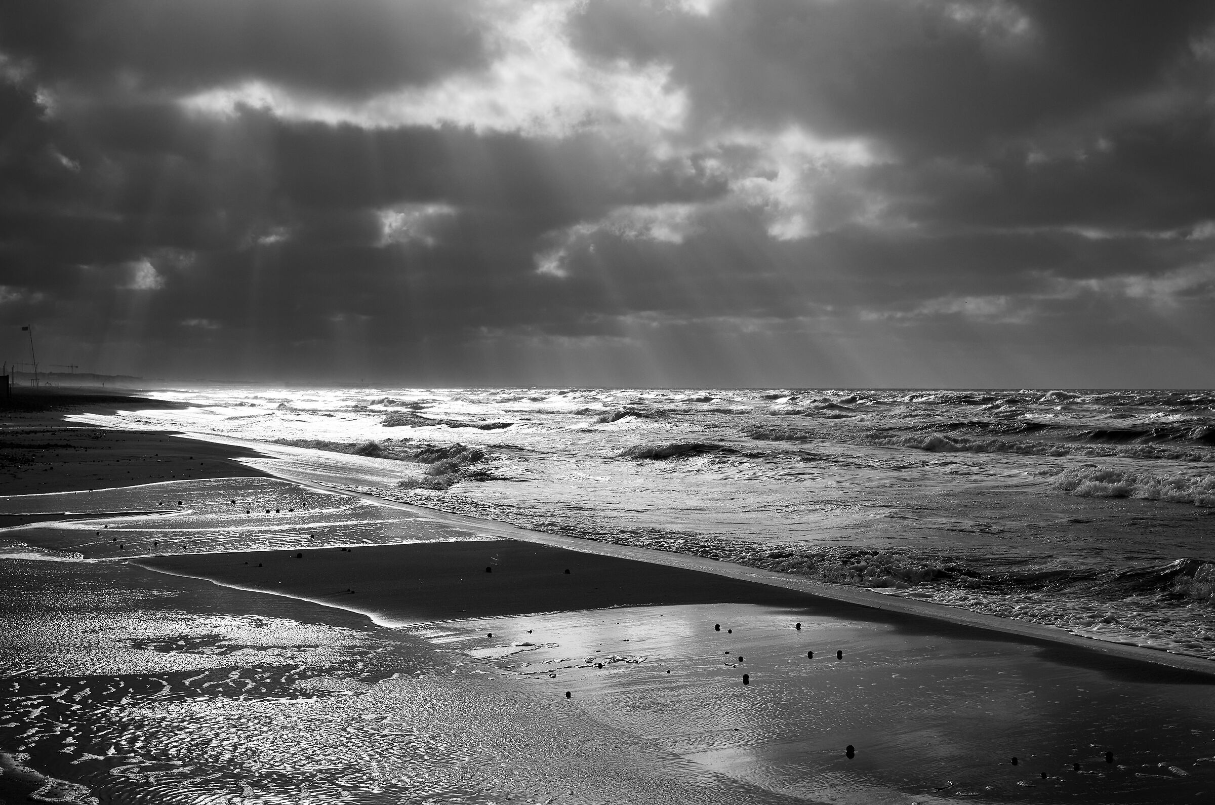 Untitled Photo