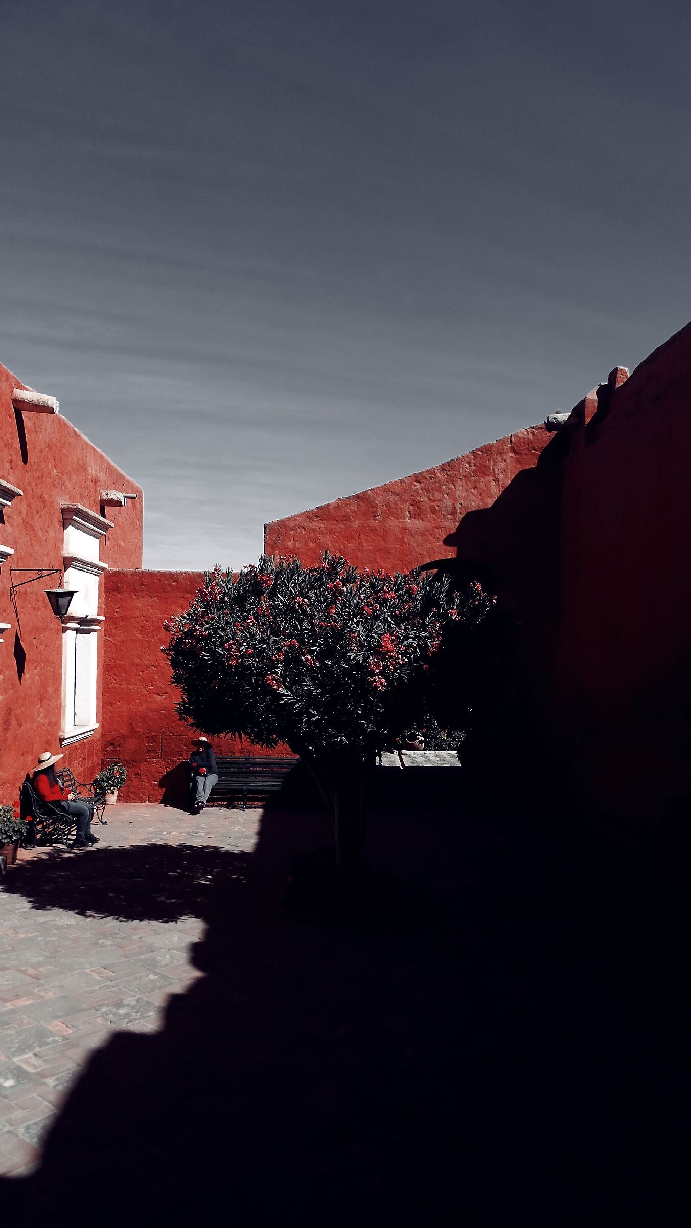 Santa catalina