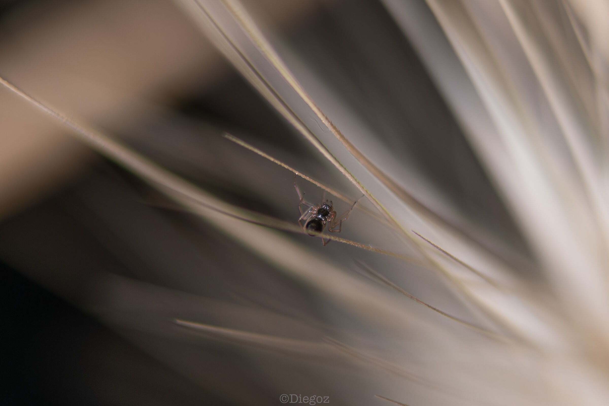 Untitled Photo