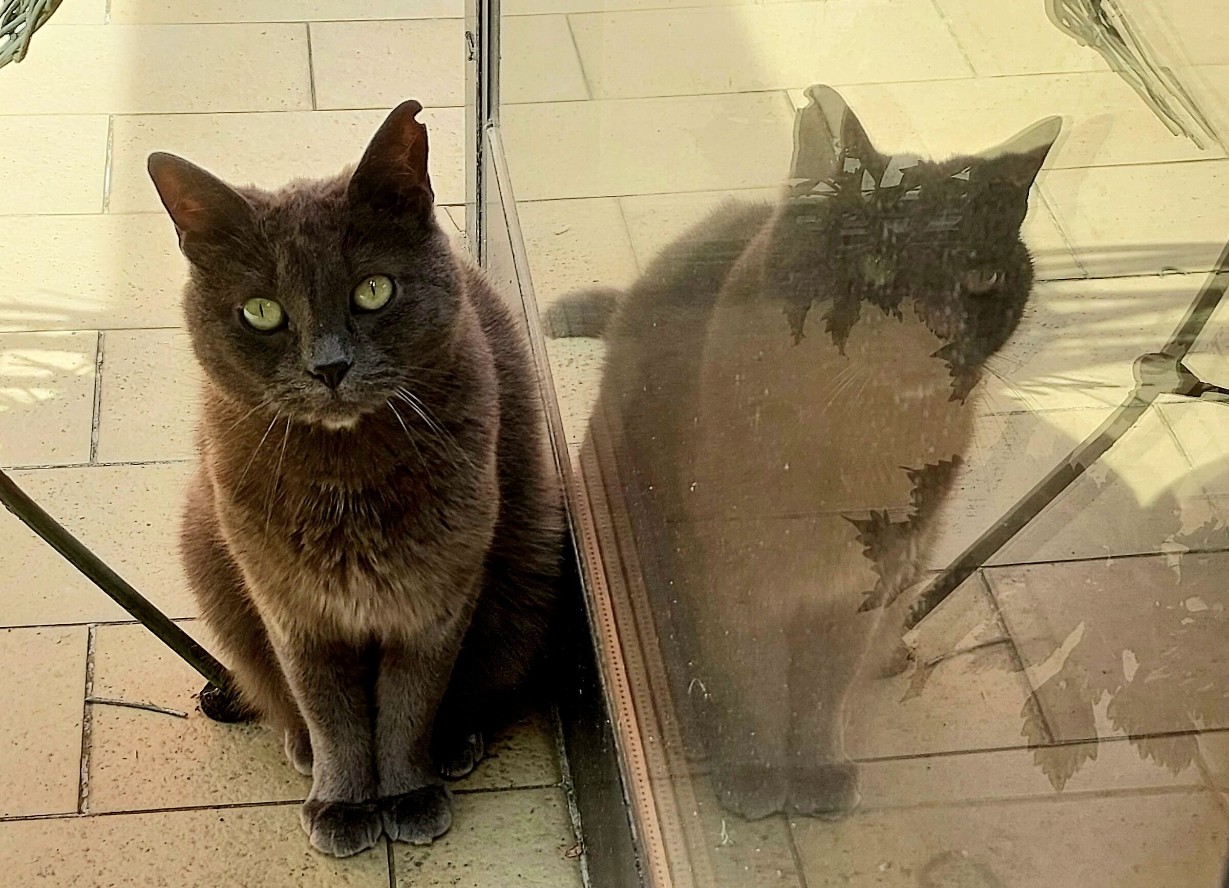 Oops...... I see double