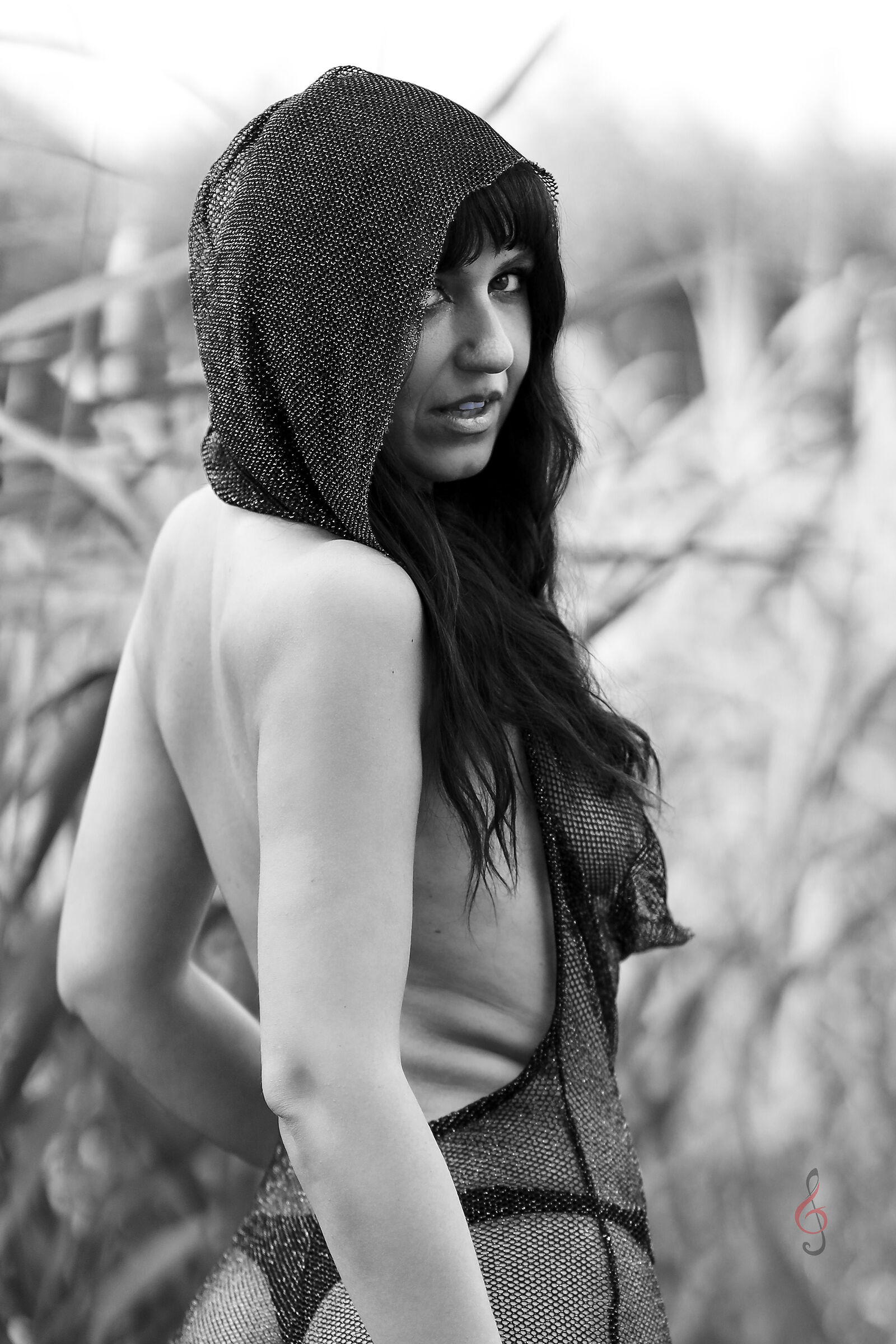 Untitled Photo