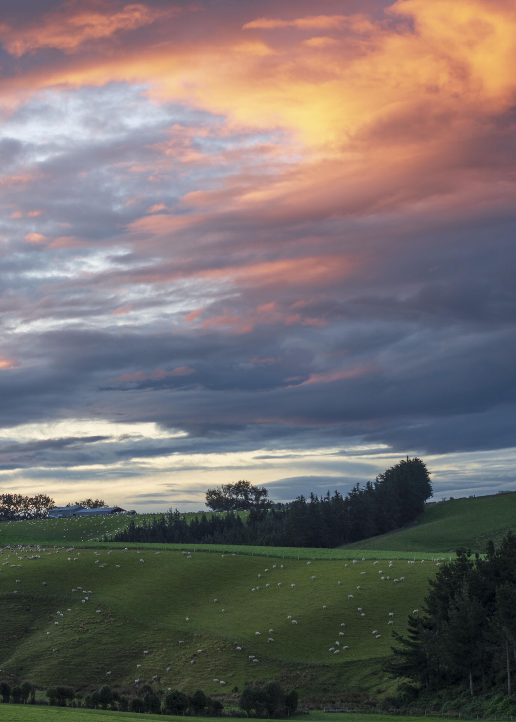 Benhar New Zealand