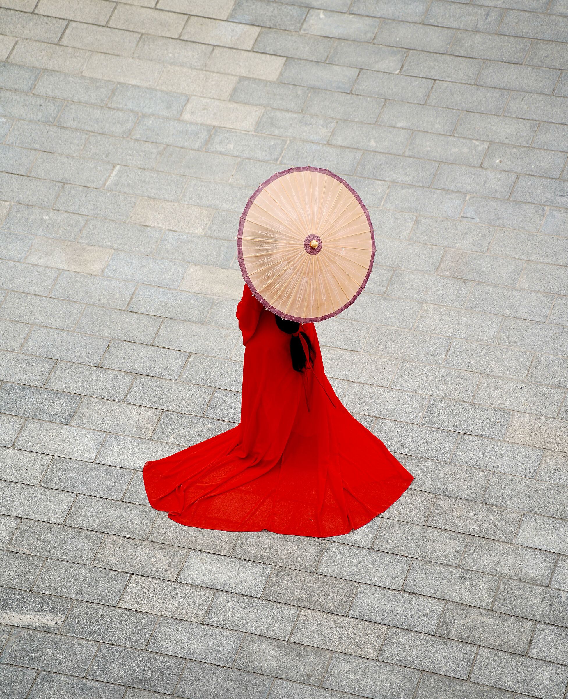The Red Wayfarer