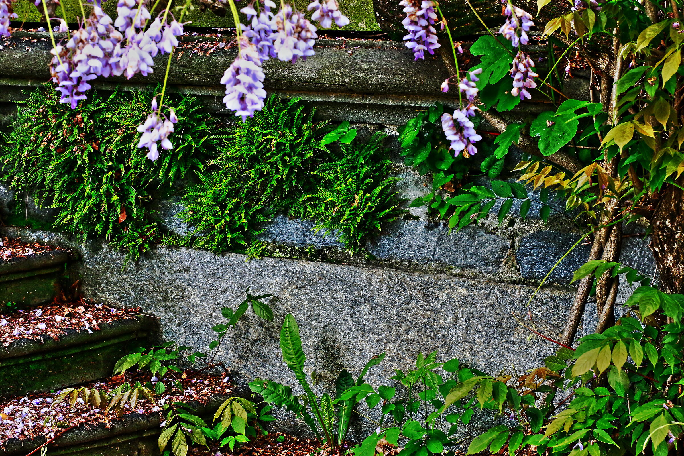 At the foot of the ancient stairs
