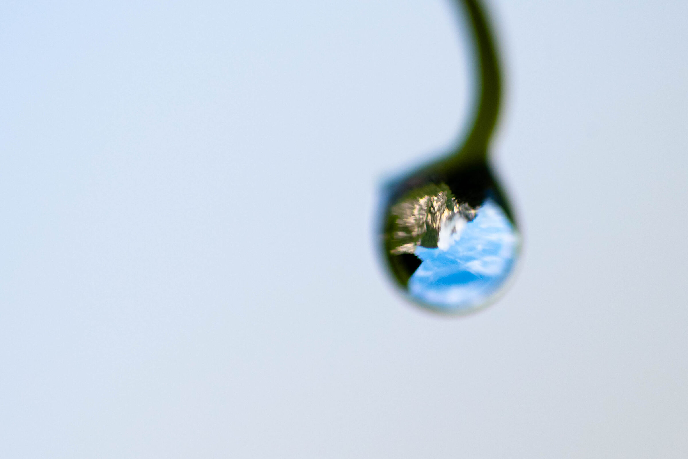 A world in drops