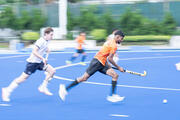 [Fotografia]