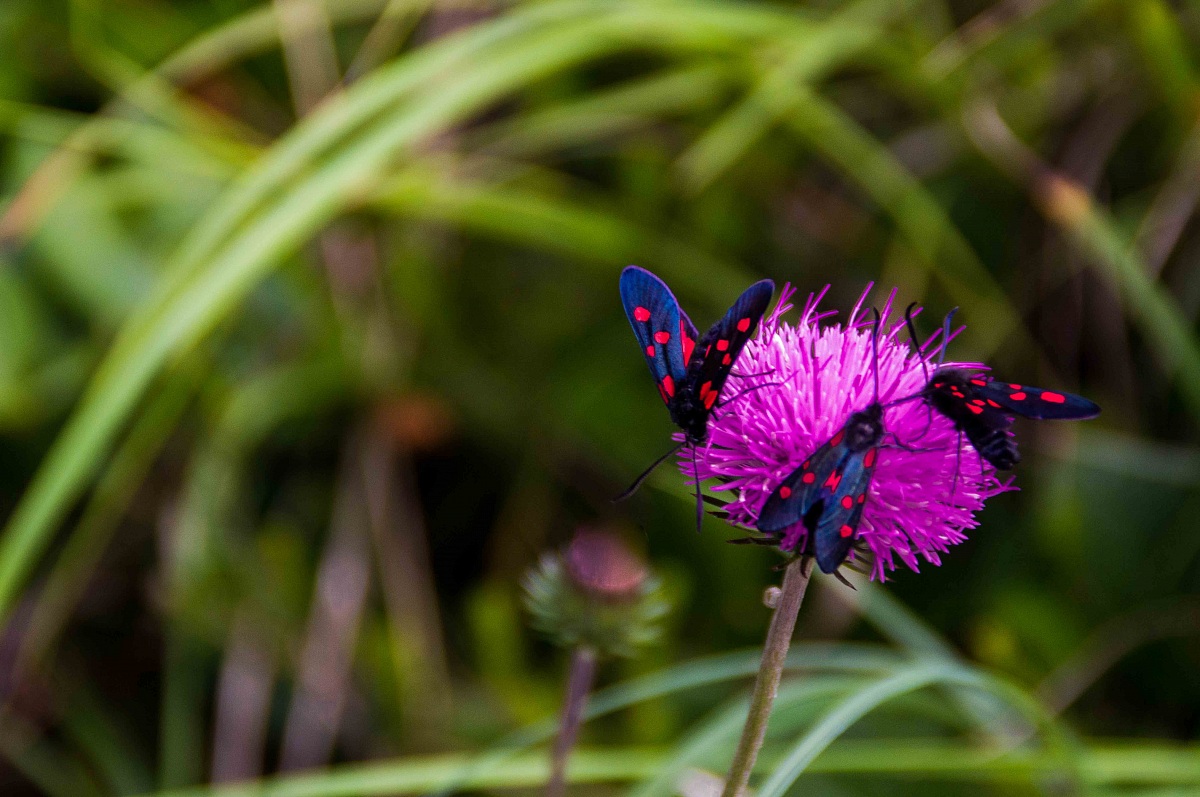 tre comari in vena di chiacchere