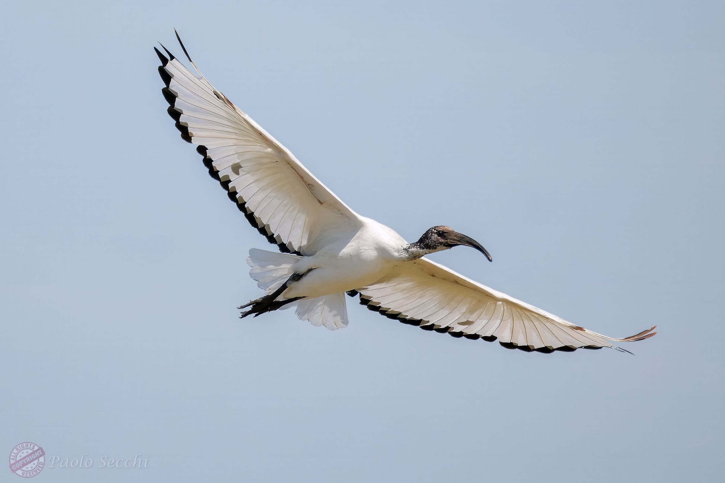 Il sacro in volo