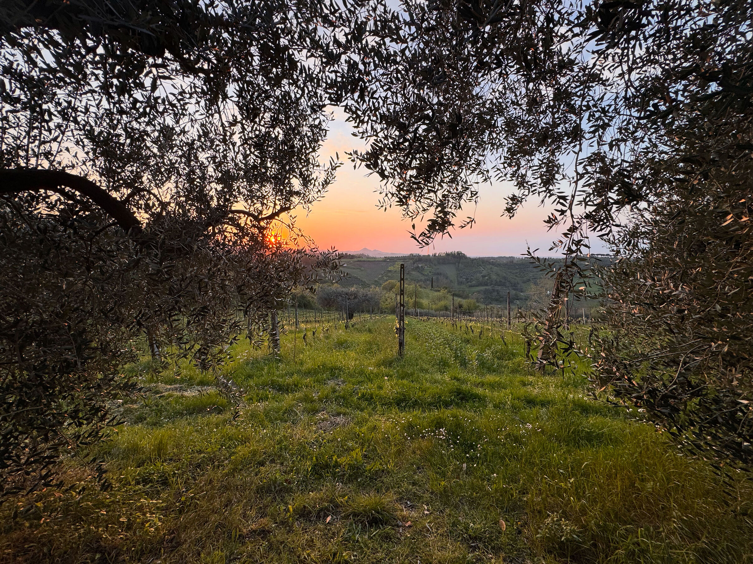 Finestra sul tramonto