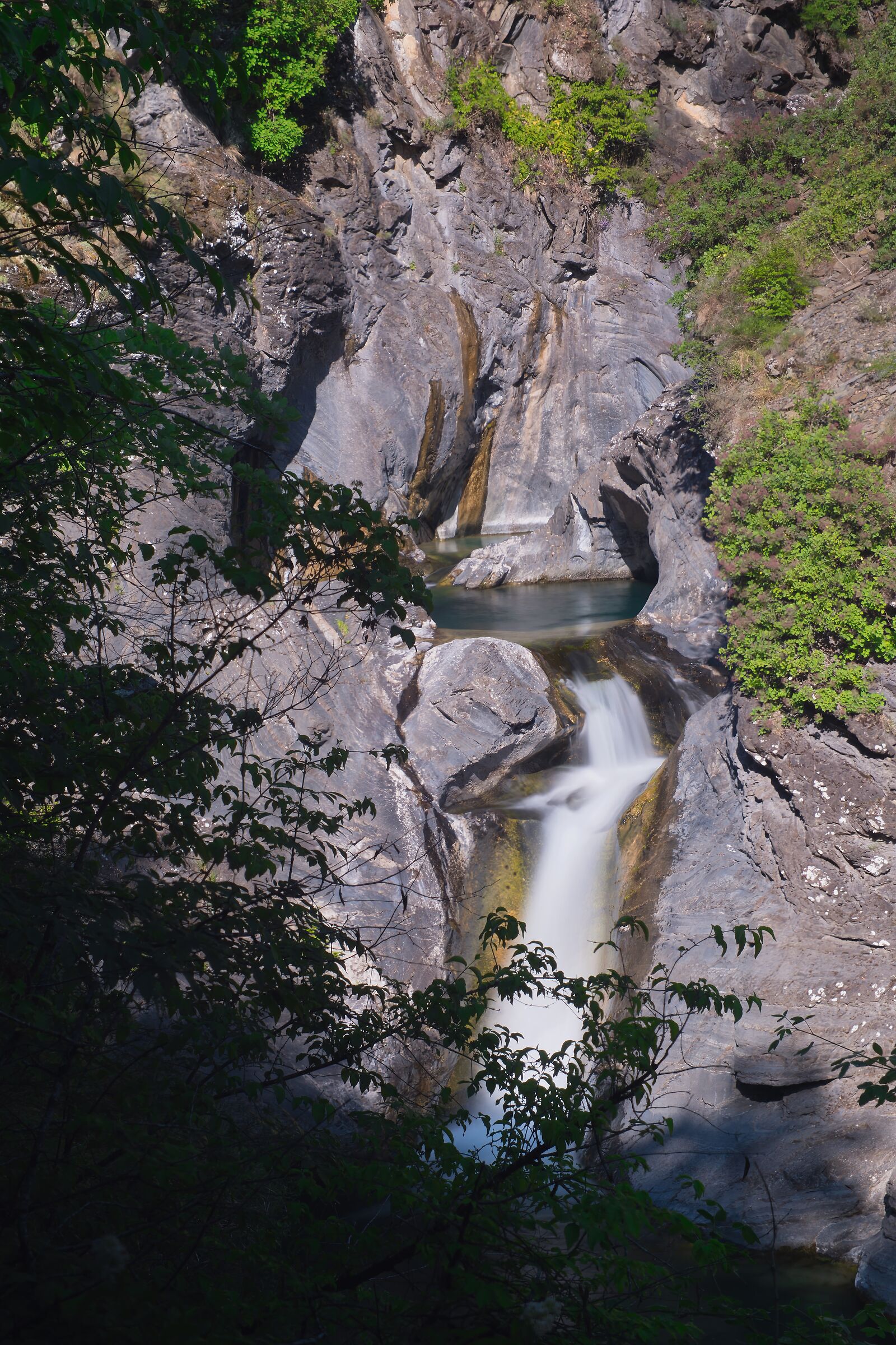 Torrente Argentina