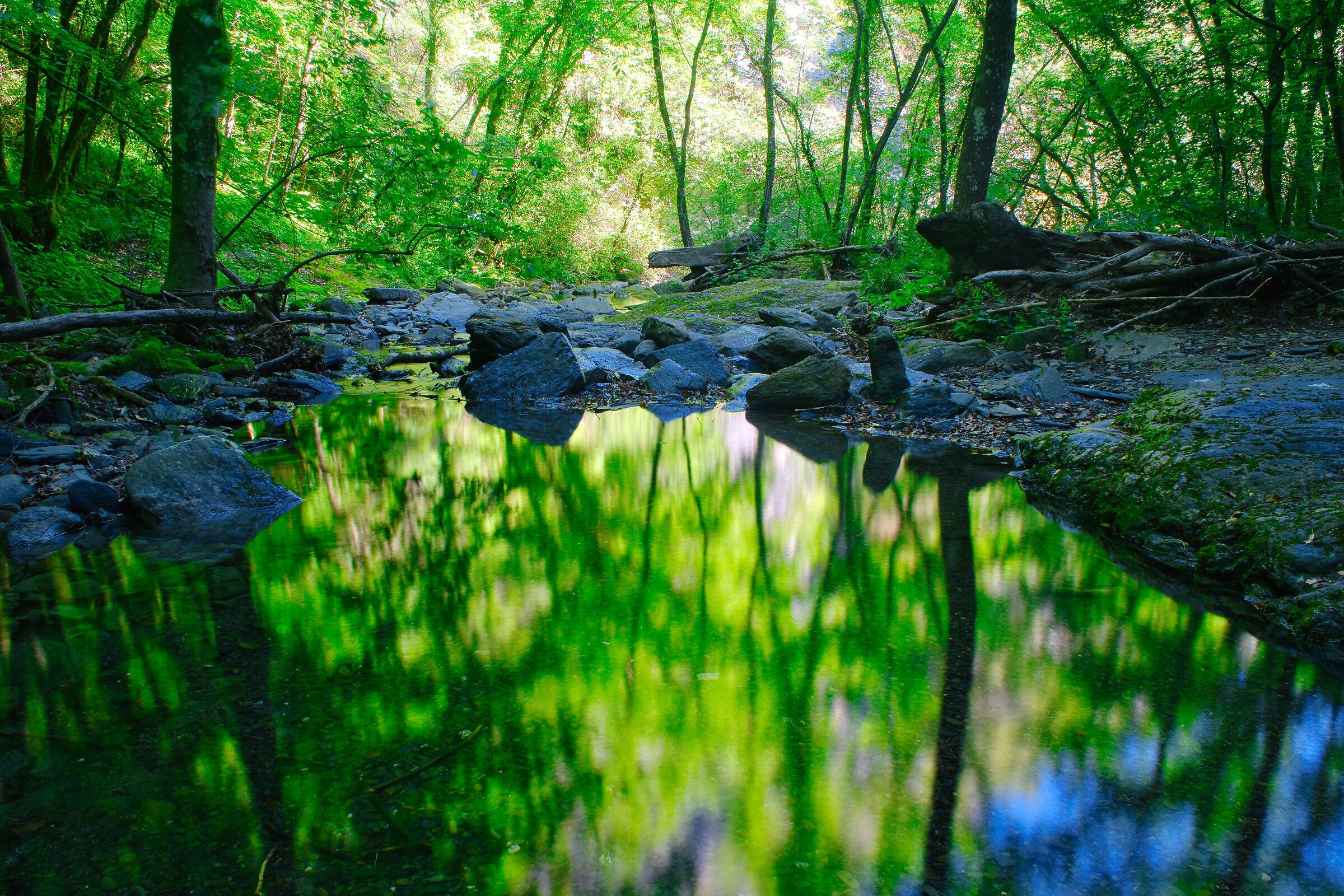 Rio Affluente dell'Argentina