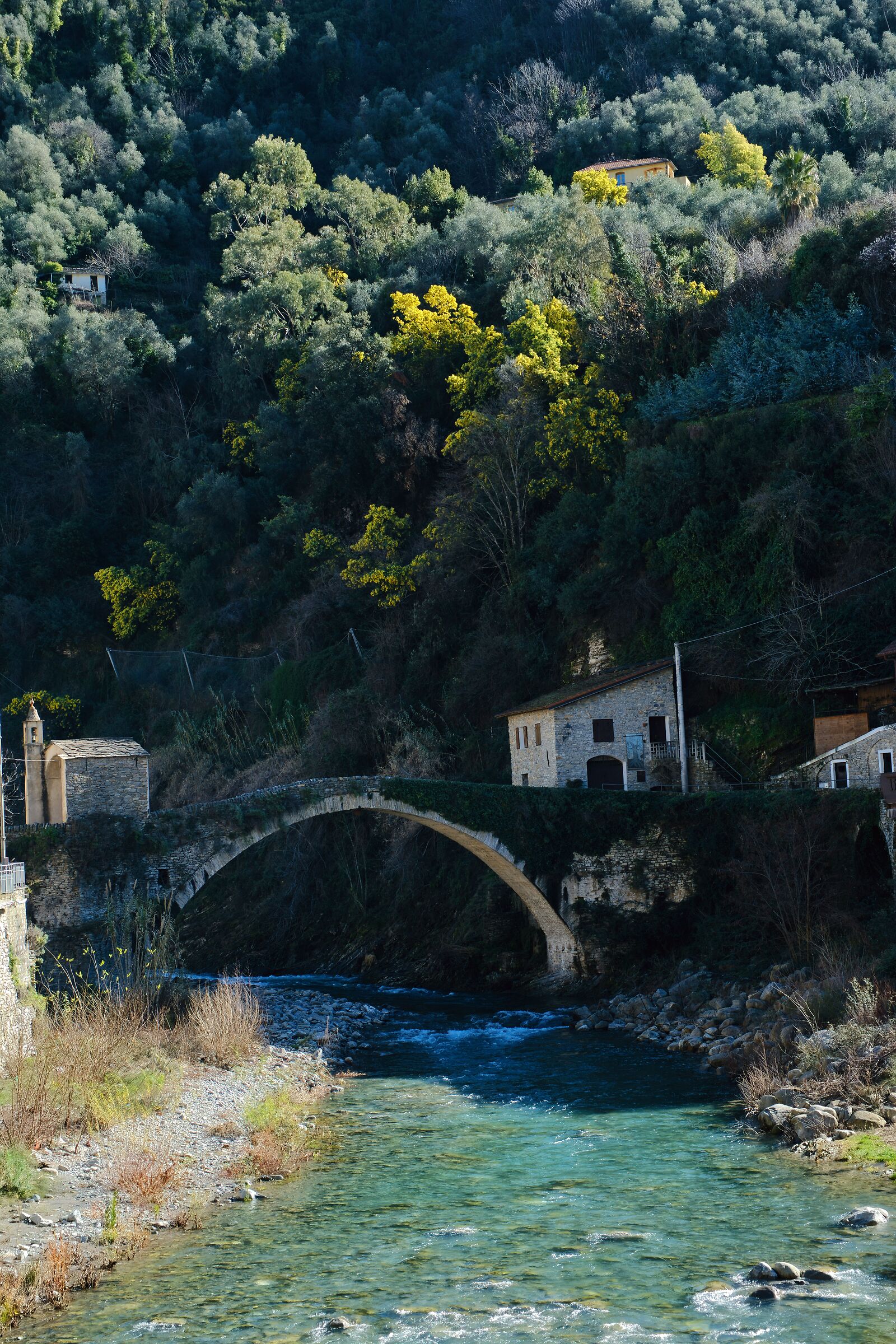 Badalucco