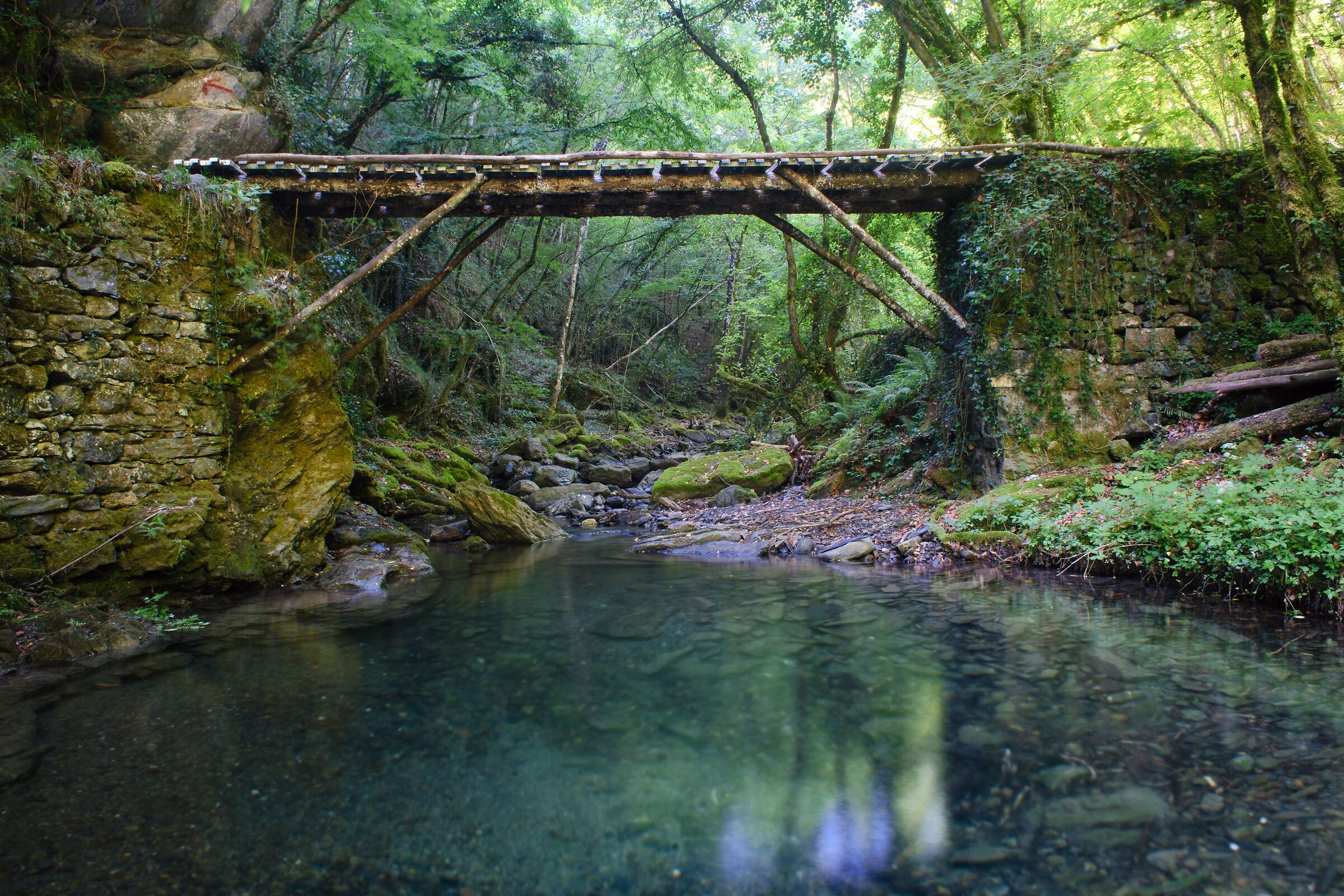 Il Ponte sul Rio