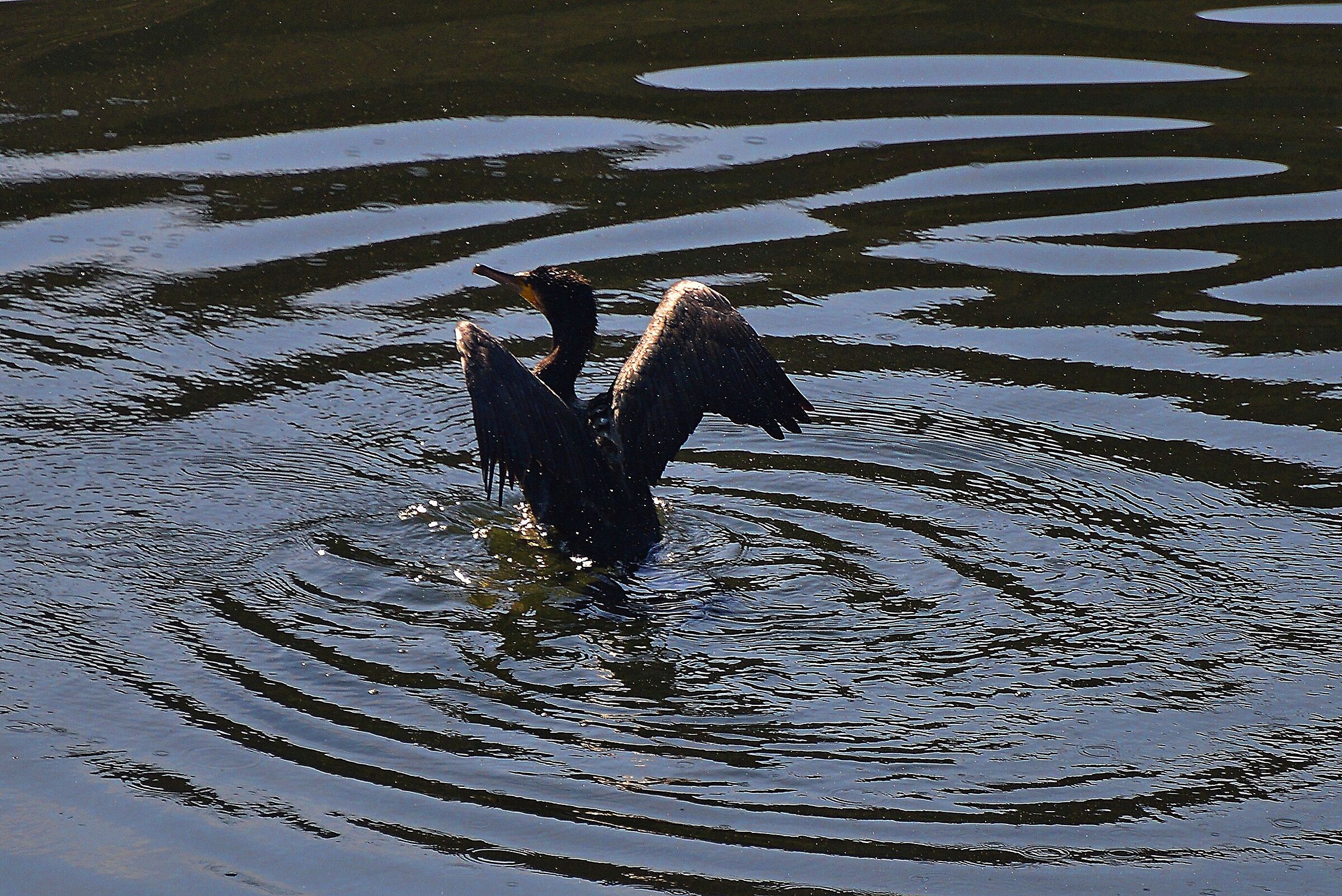 Take-off Pista Lambro1