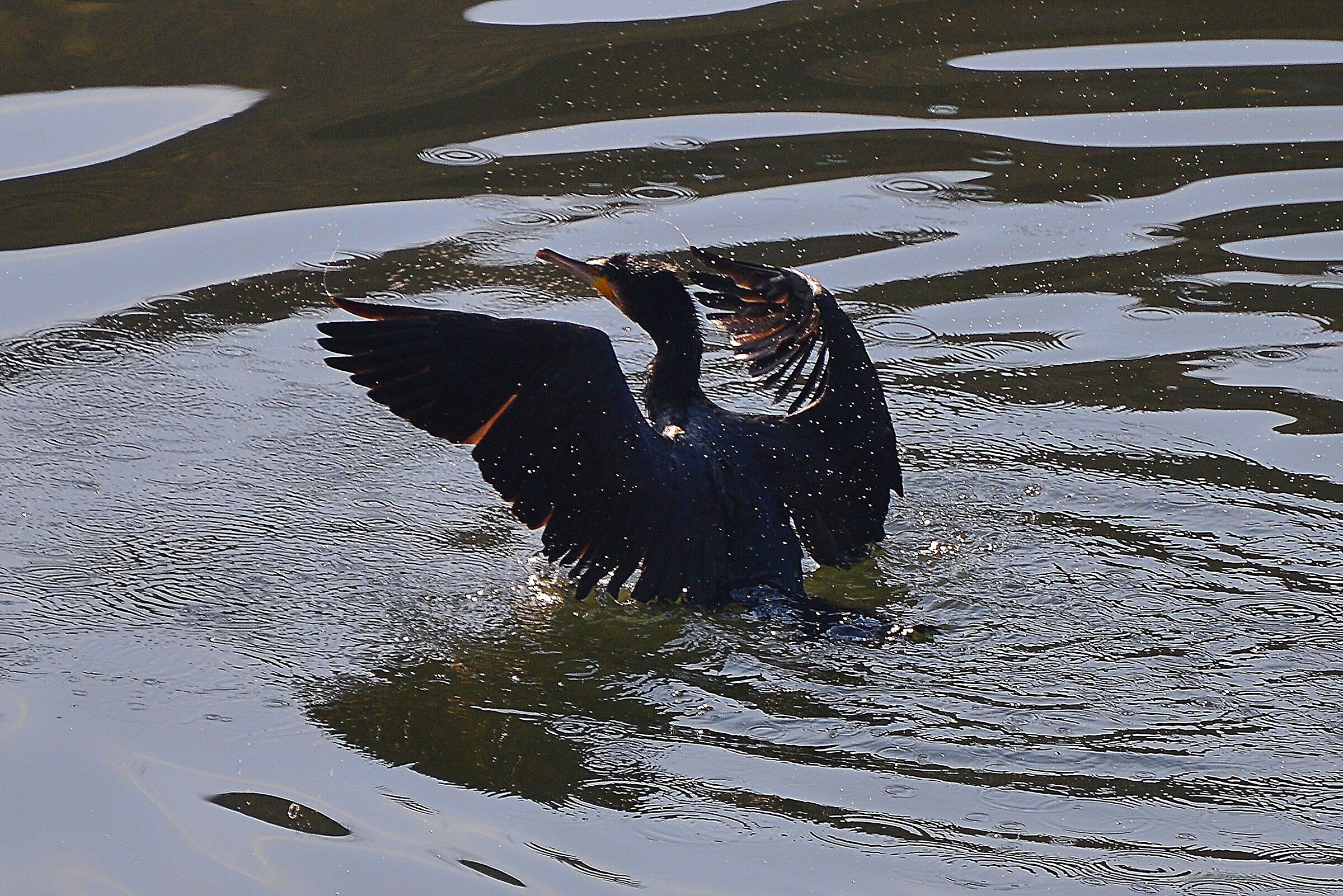 Take-off Pista Lambro2