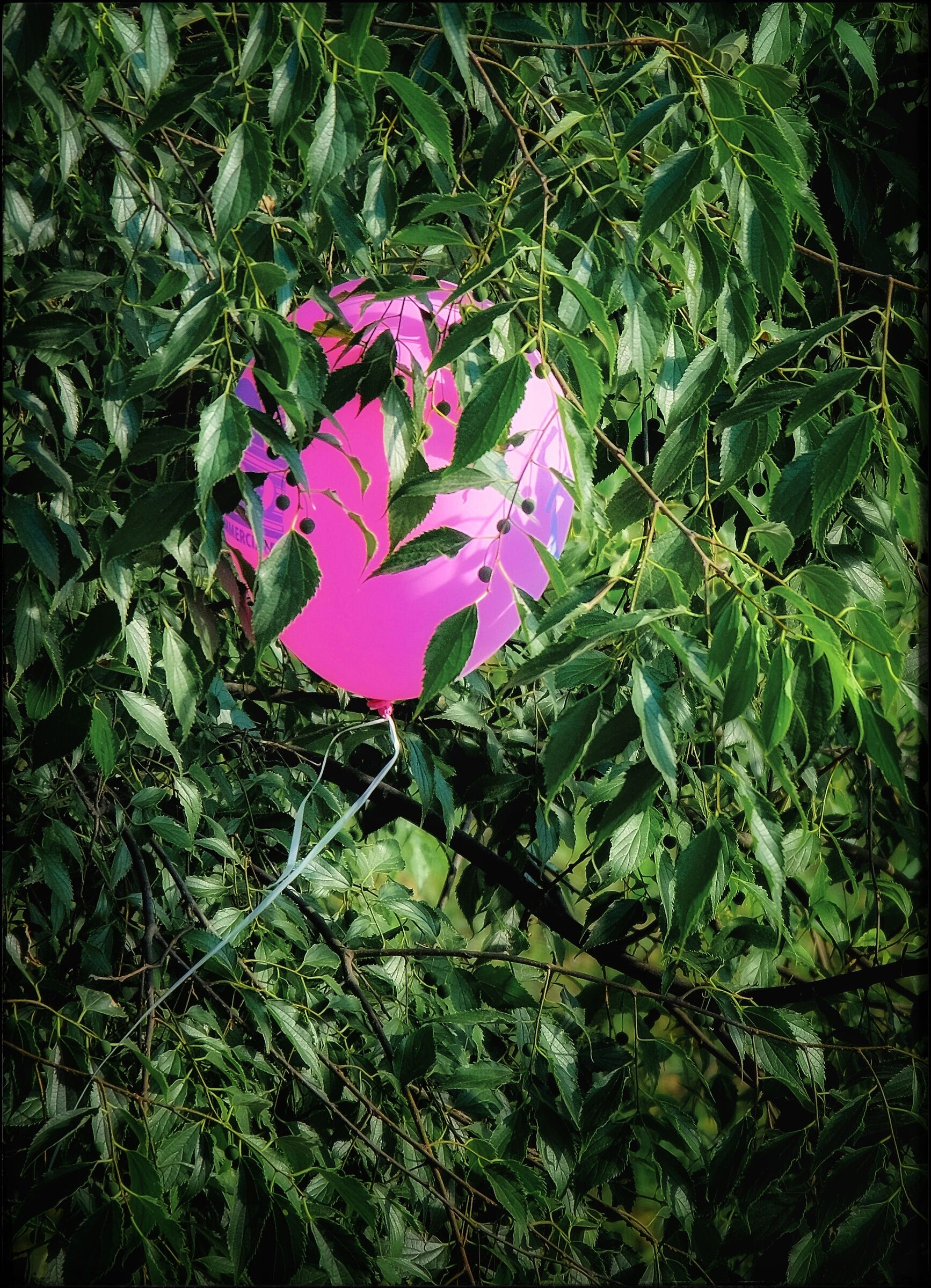 Trapped Thought