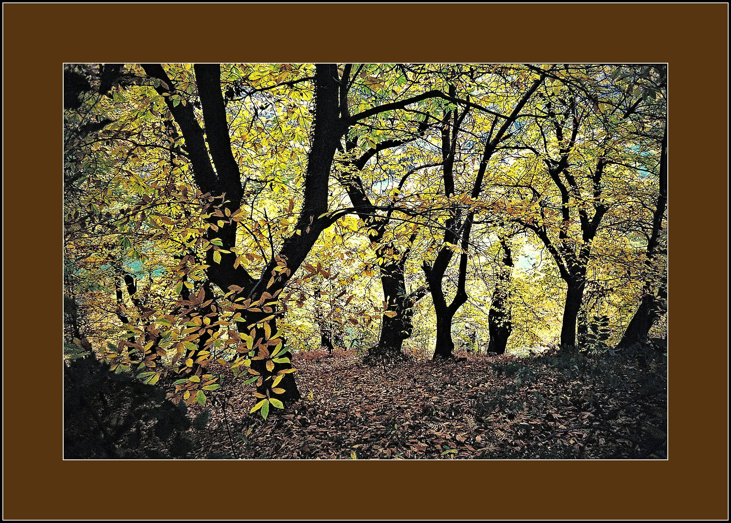 Brush strokes