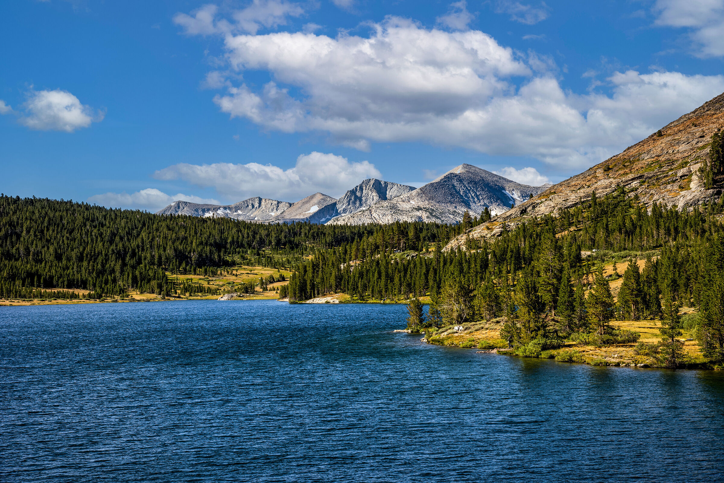 American landscapes