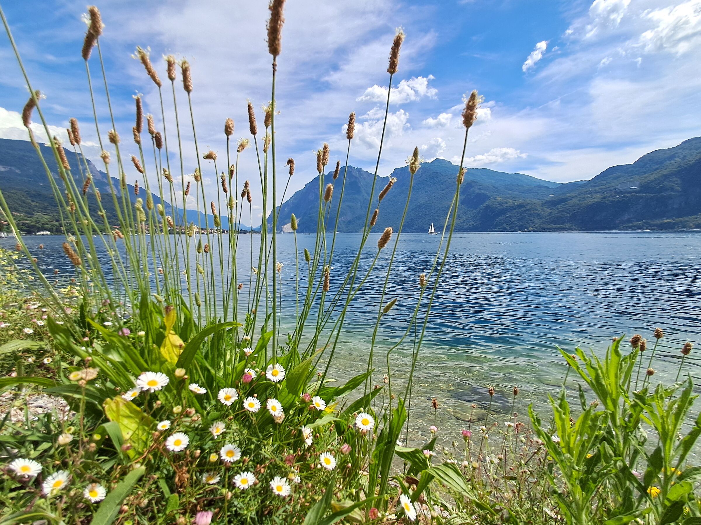 Mandello del Lario (LC)