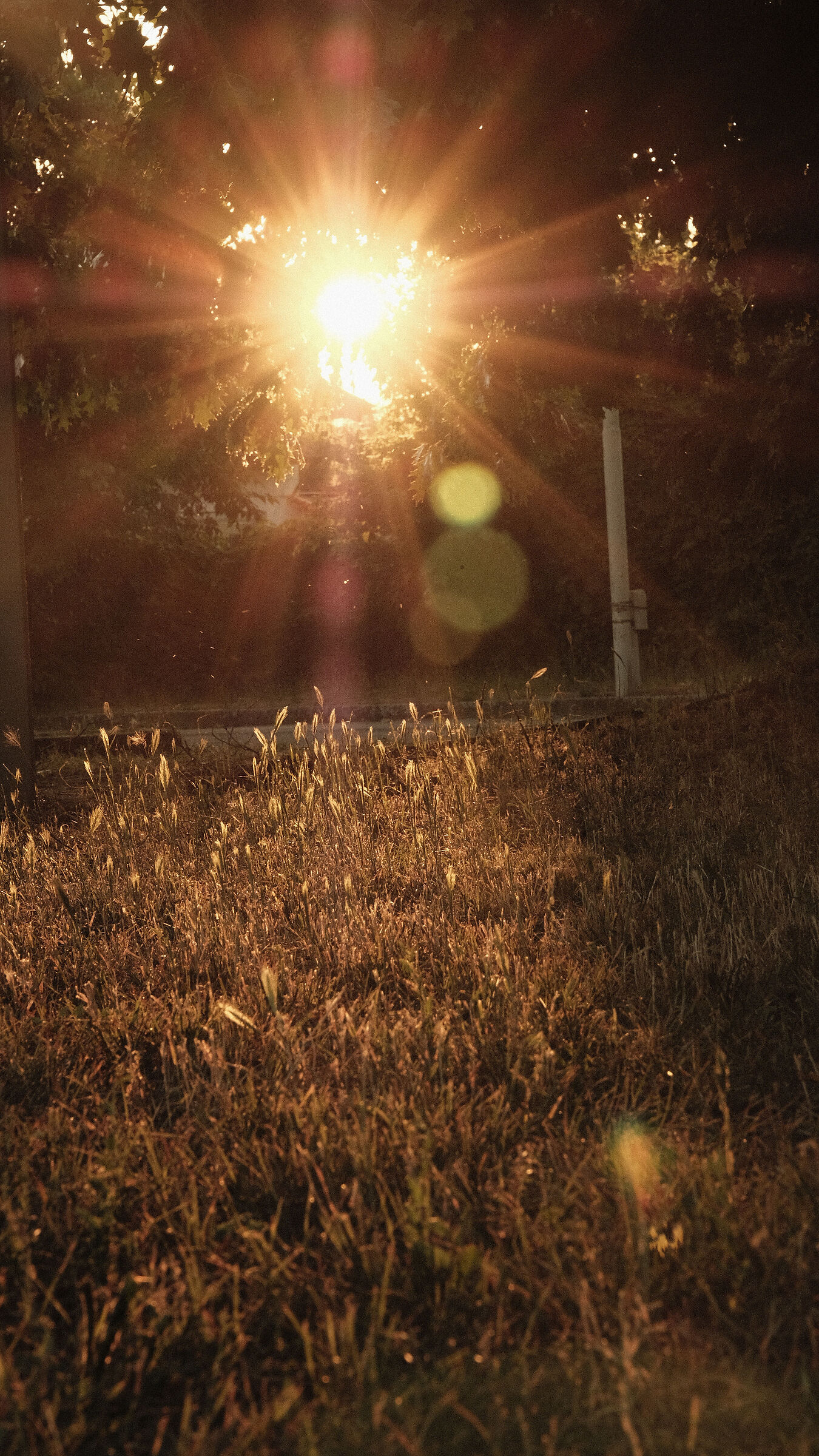 Summer light