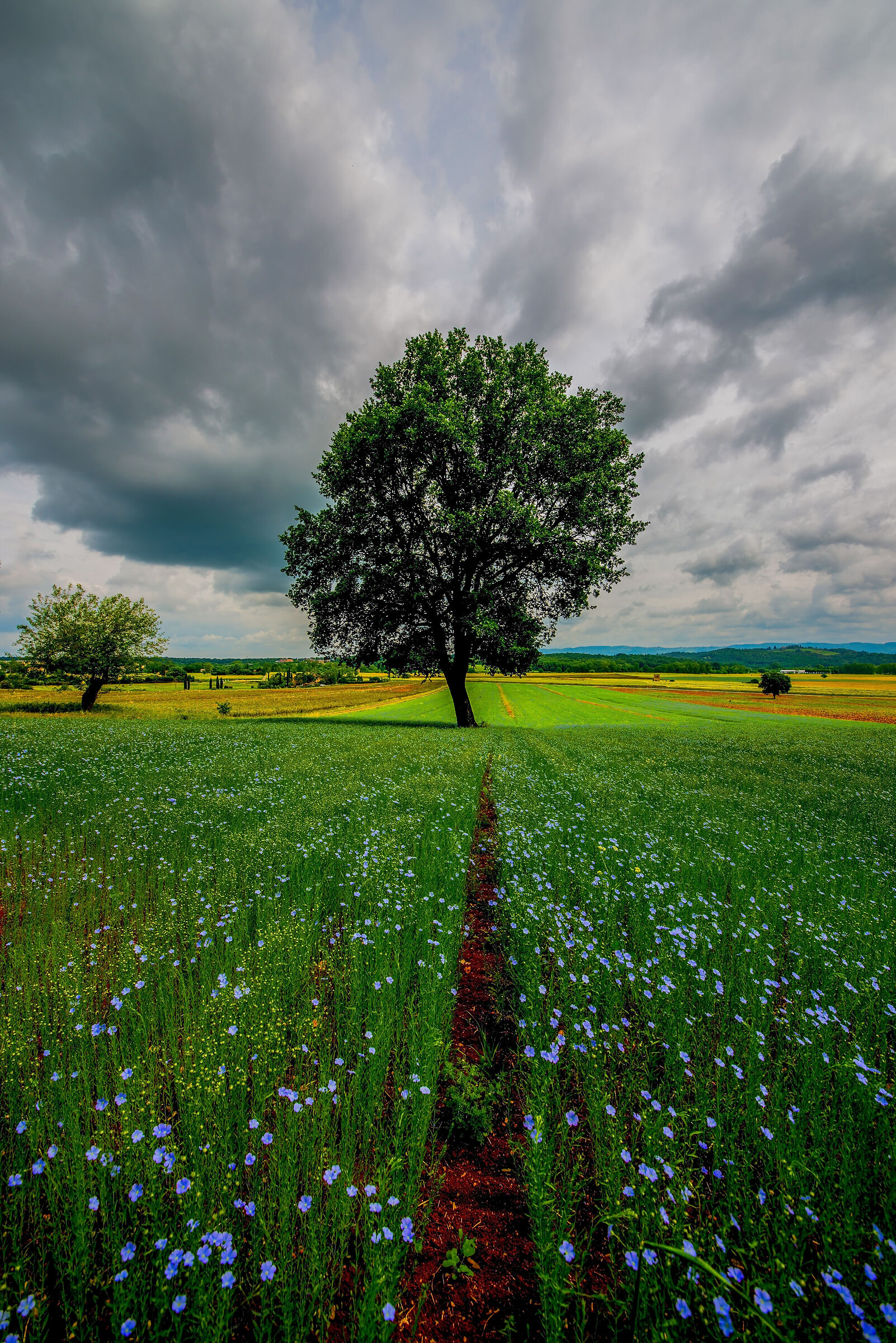 campagna senese.