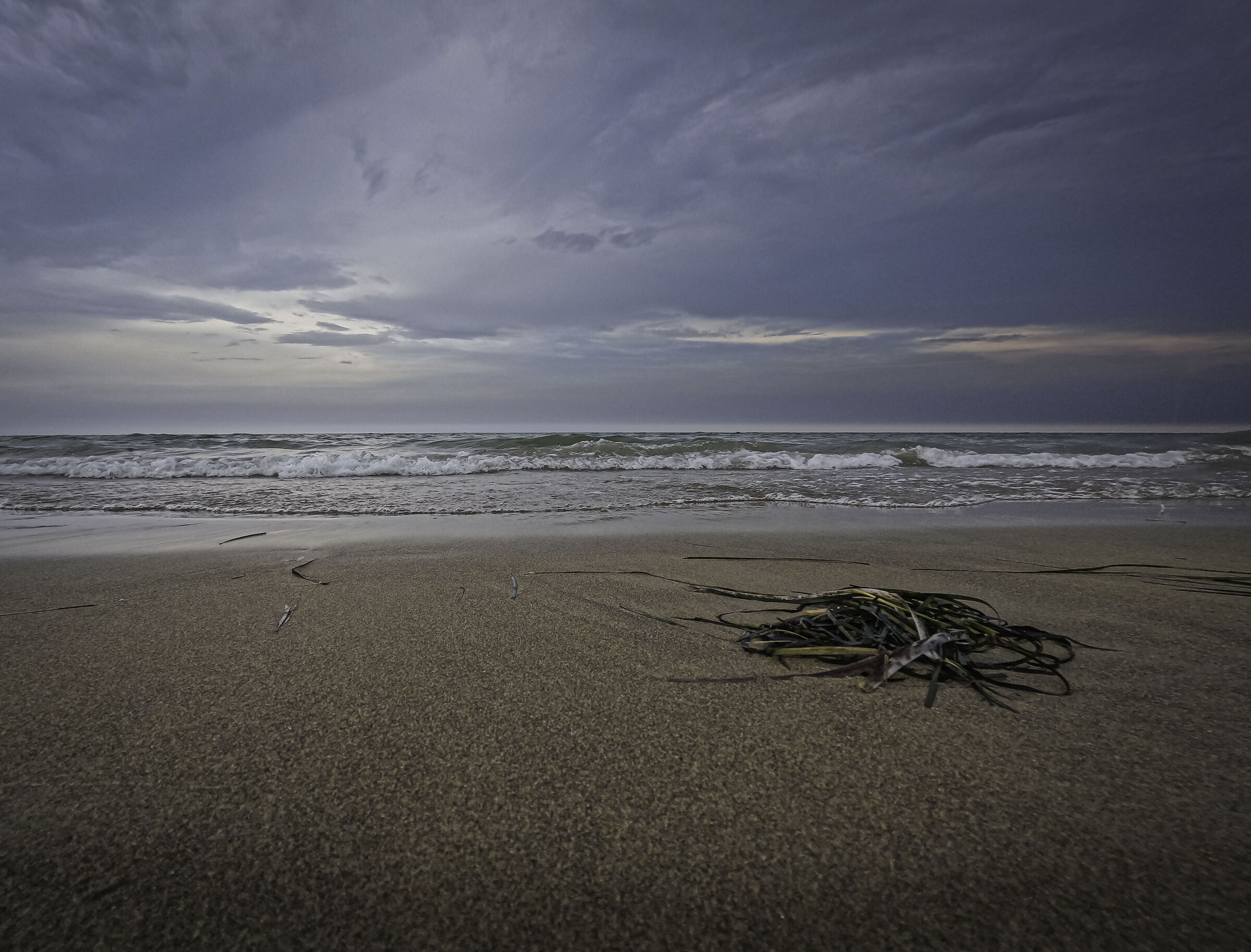 Sea